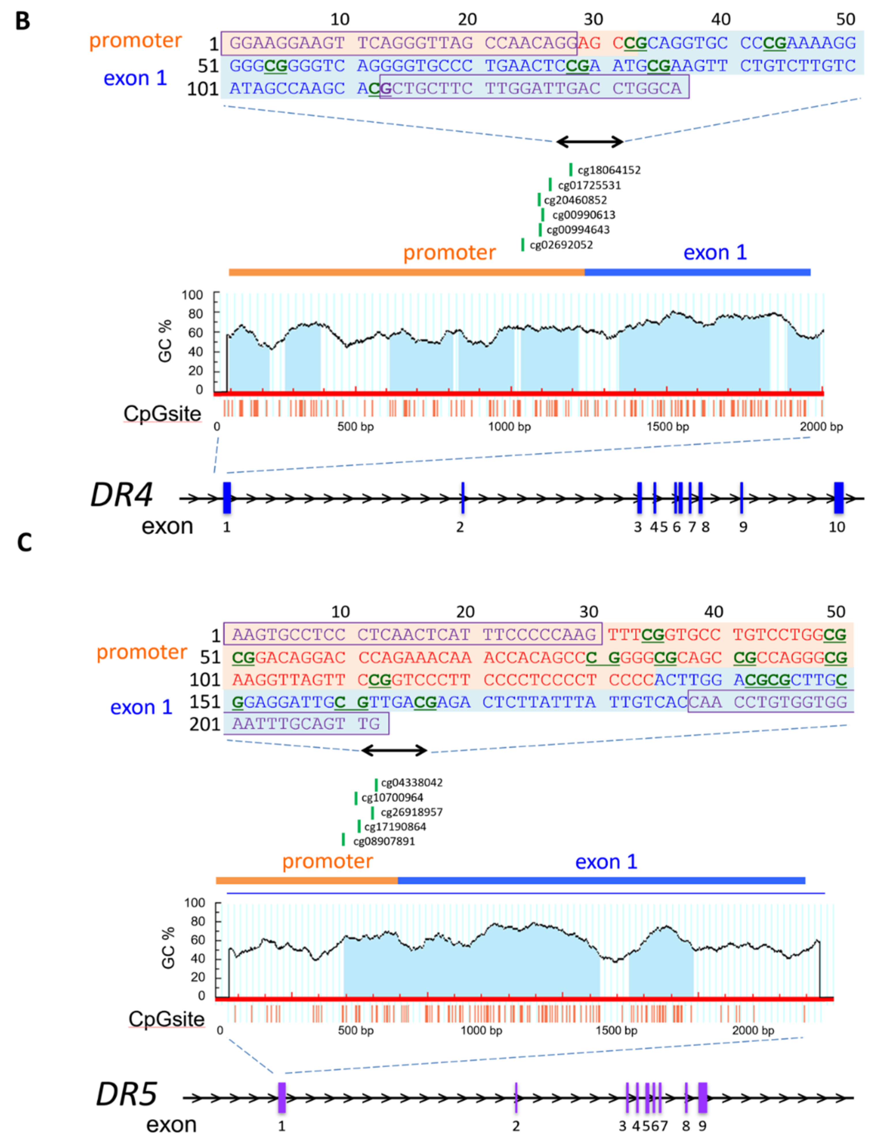 Genes 12 00864 g001b