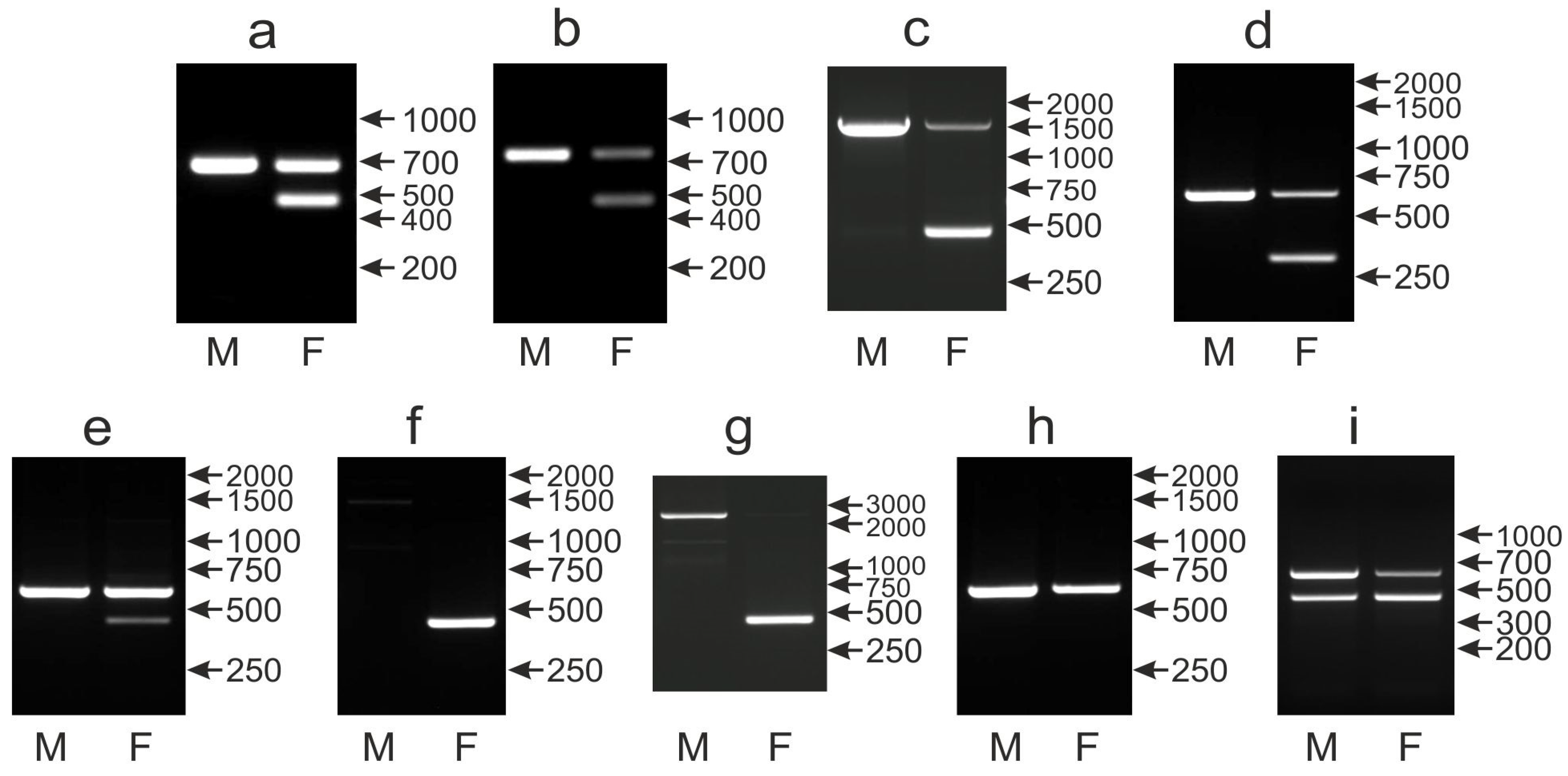 Genes 12 00878 g003