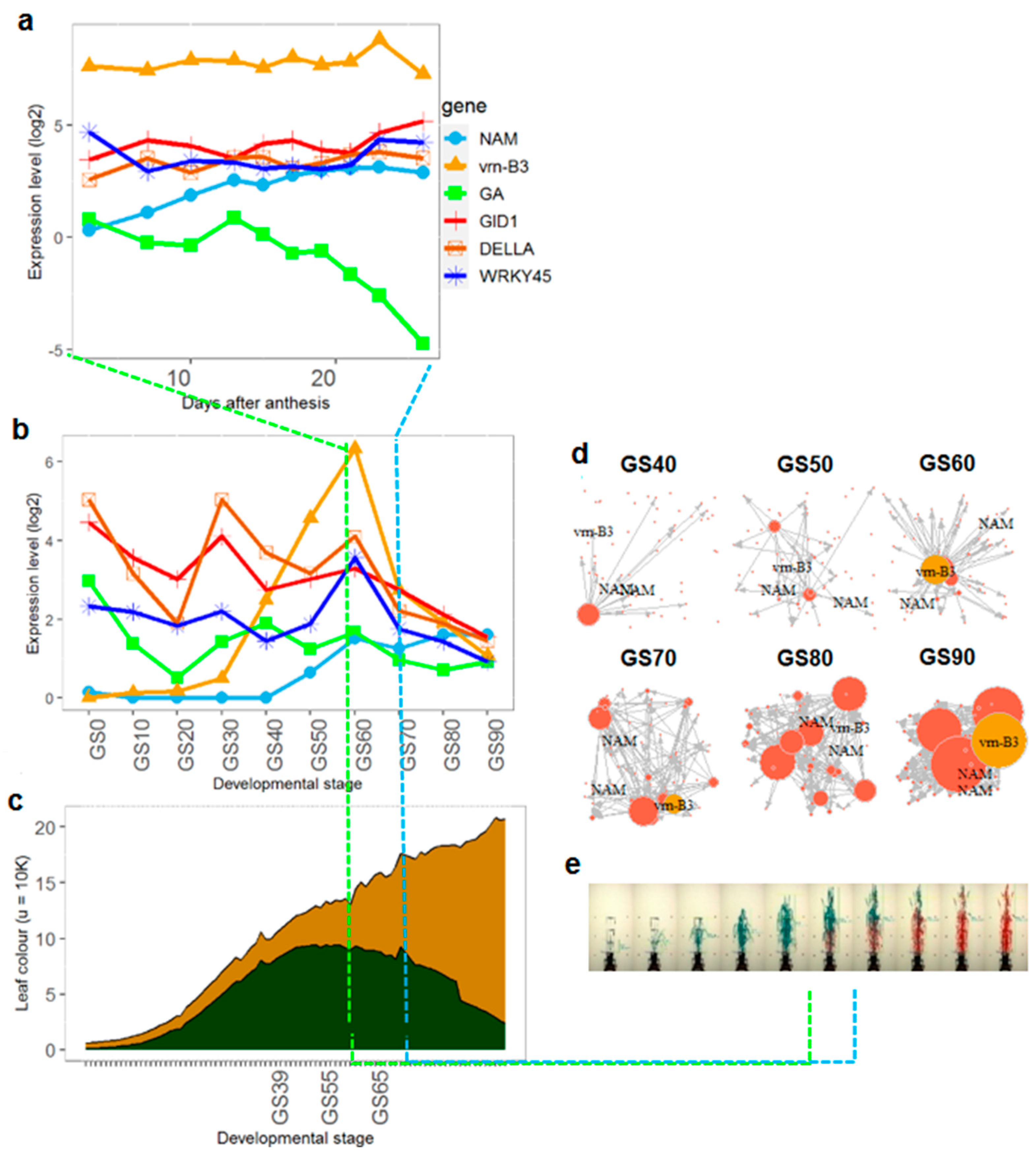 Genes 12 00909 g001 Genes 12 00909 g001