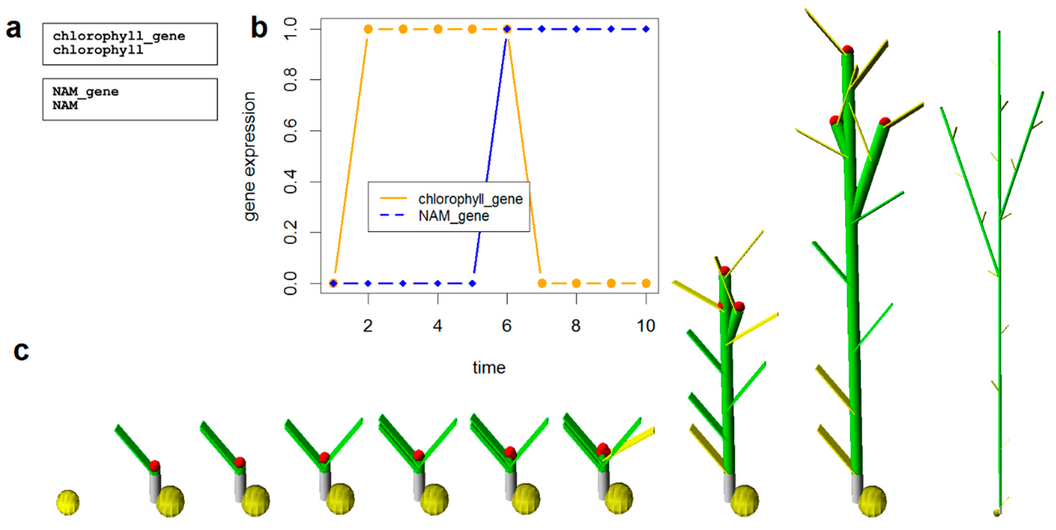 Genes 12 00909 g003 Genes 12 00909 g003
