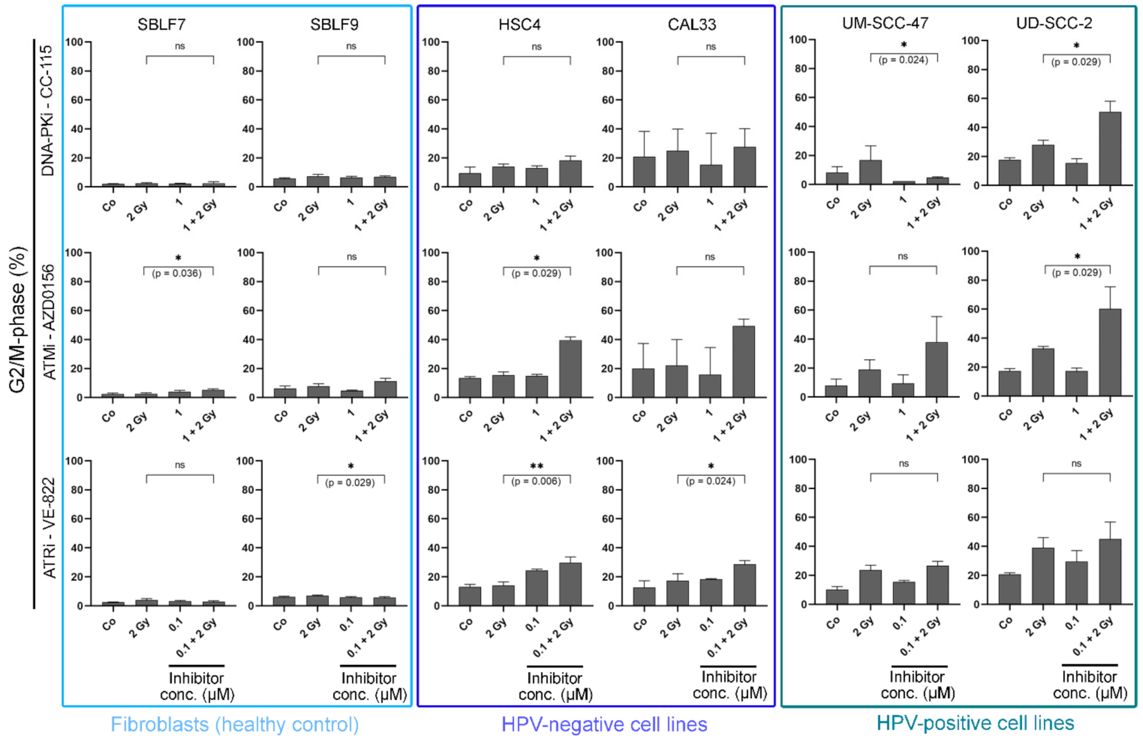 Genes 12 00925 g003 Genes 12 00925 g003
