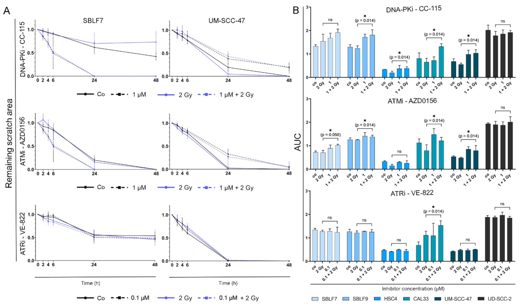 Genes 12 00925 g005 Genes 12 00925 g005