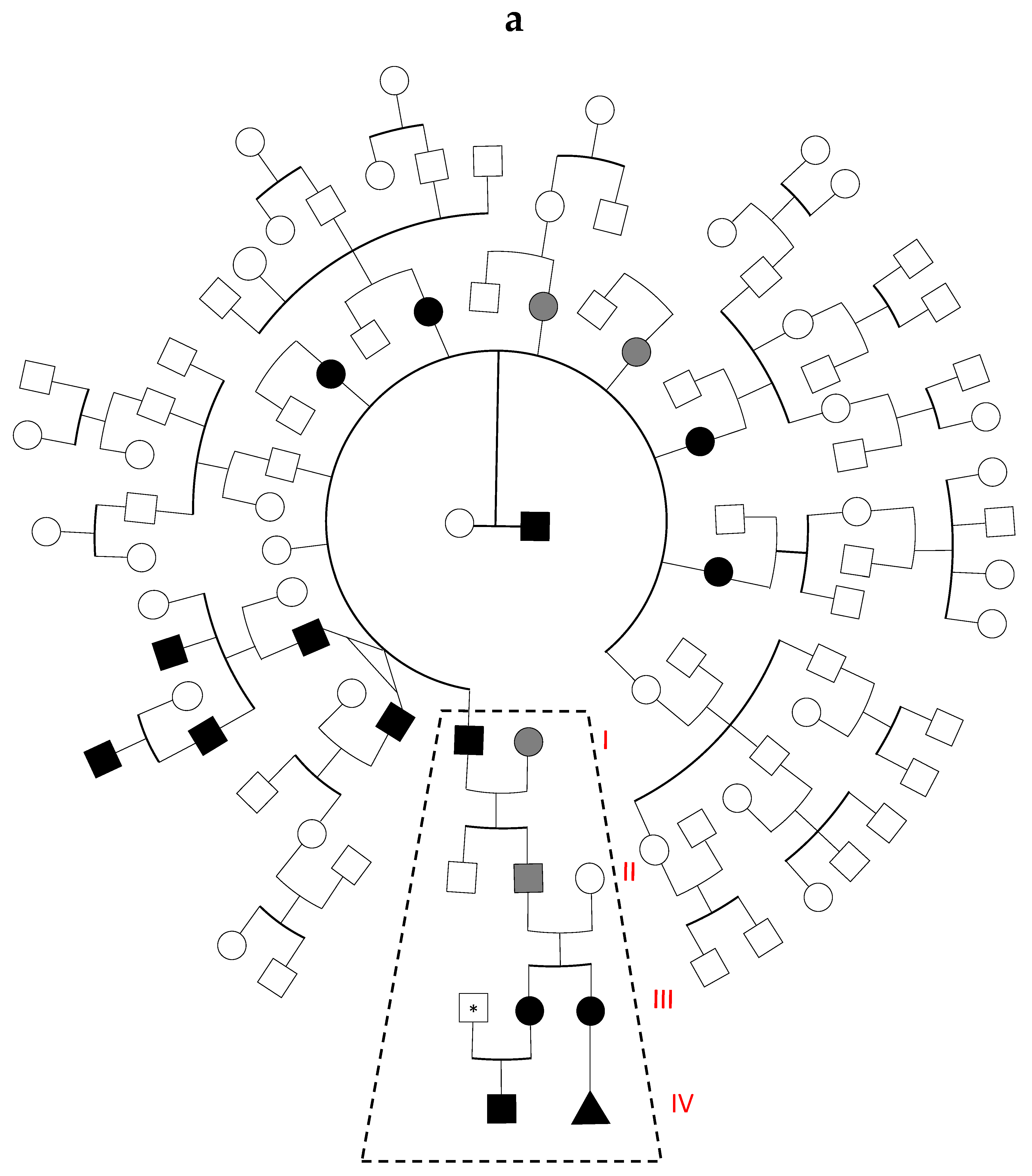 Genes 12 00934 g001a