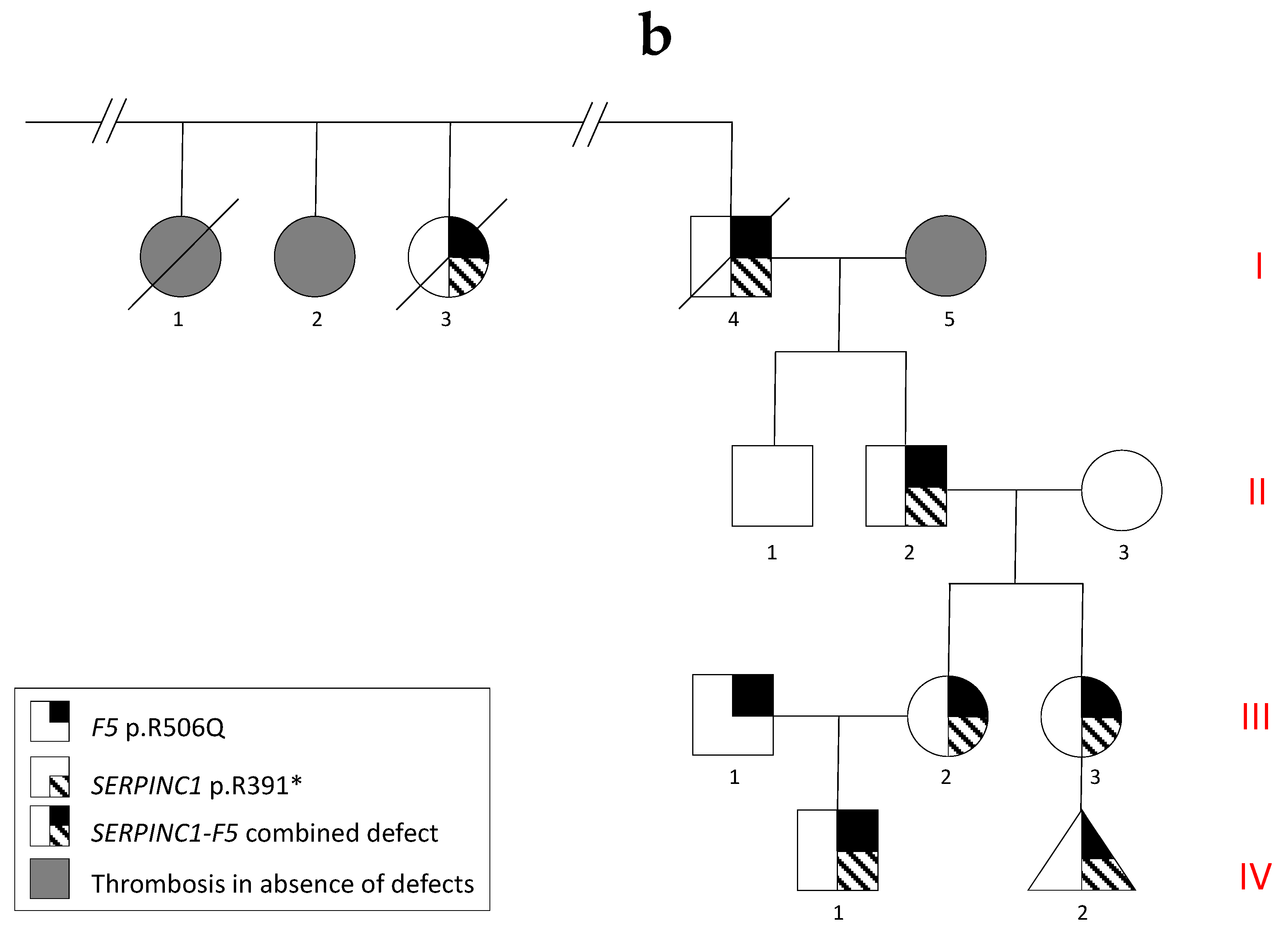 Genes 12 00934 g001b
