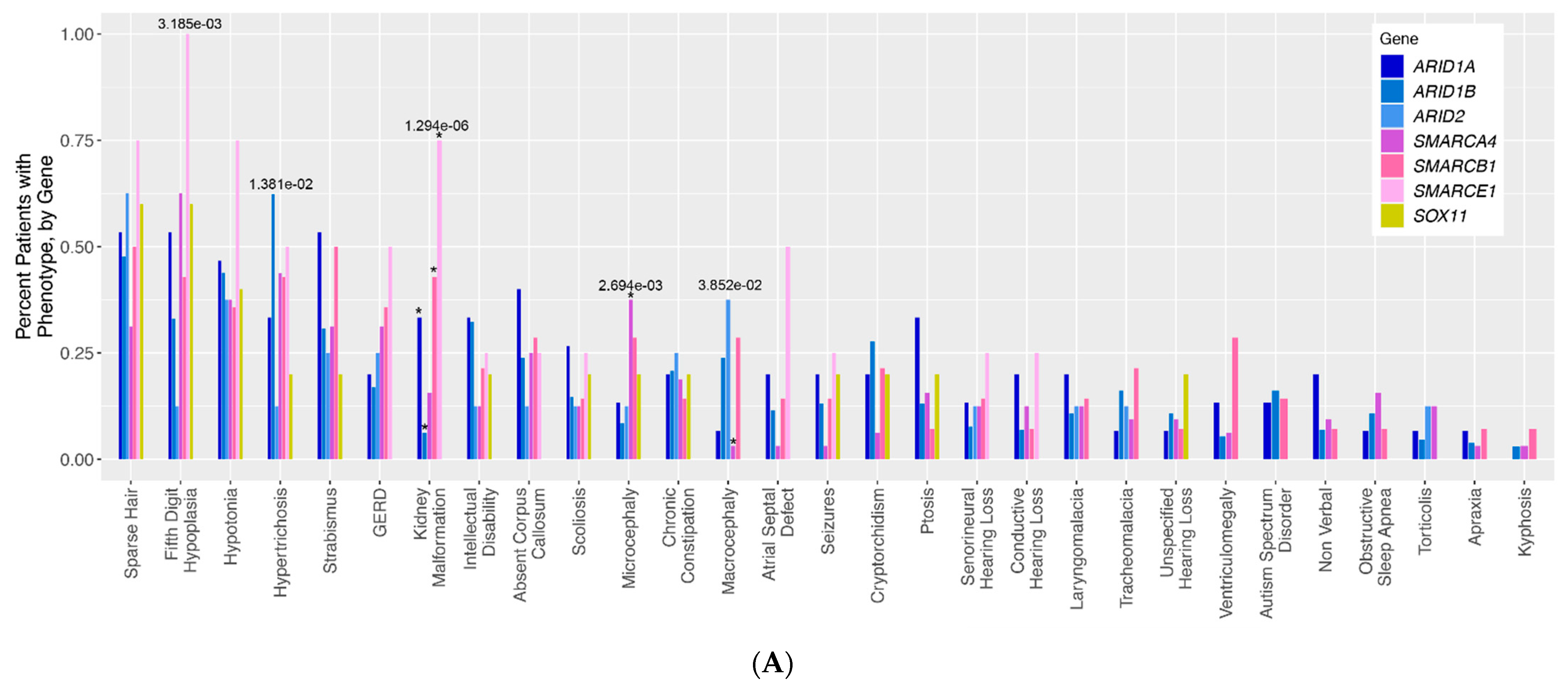 Genes 12 00937 g001a