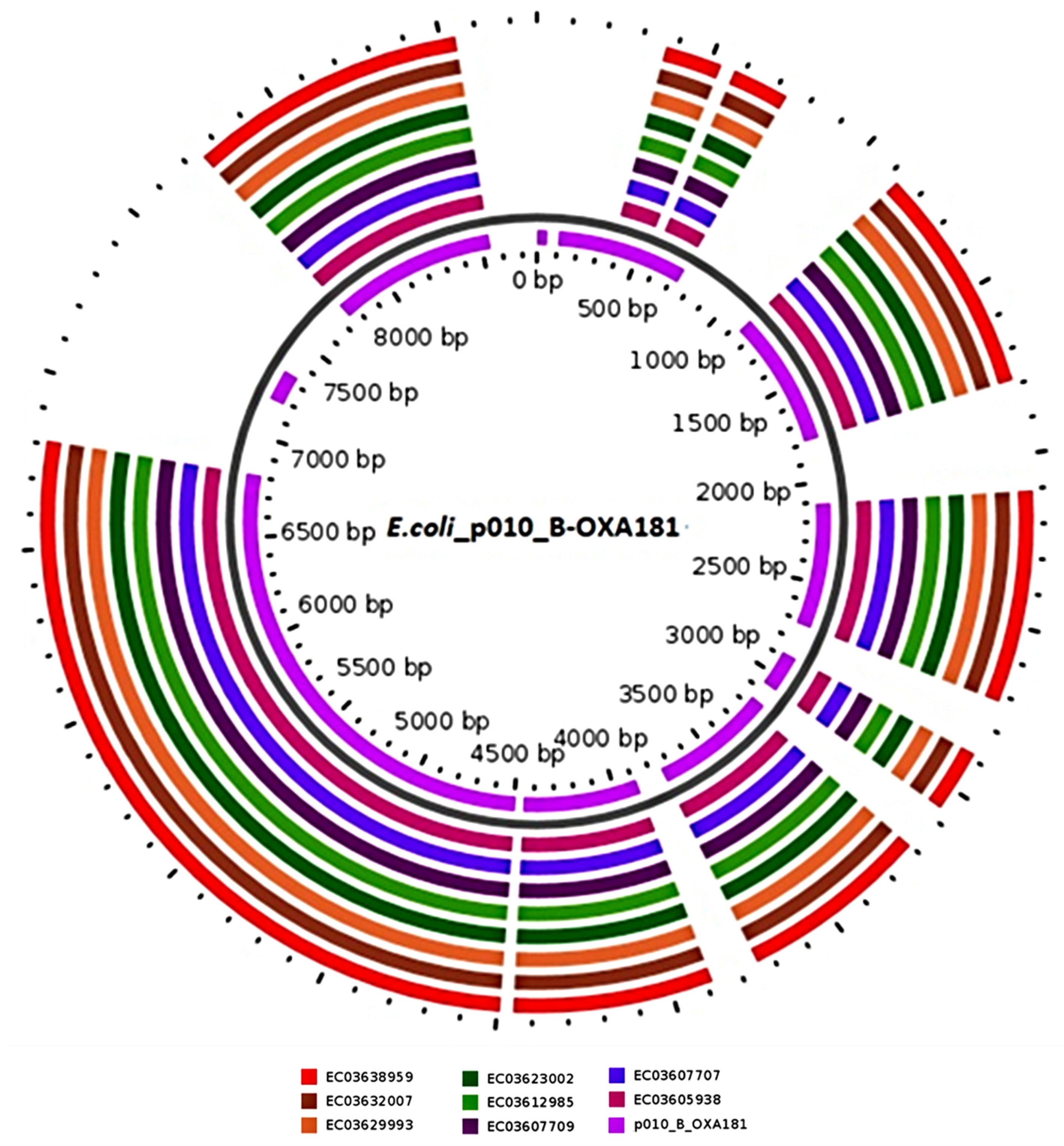 Genes 12 00951 g003