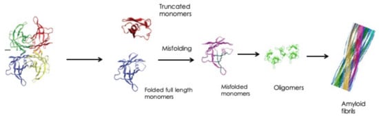 Genes 12 00955 g003 550