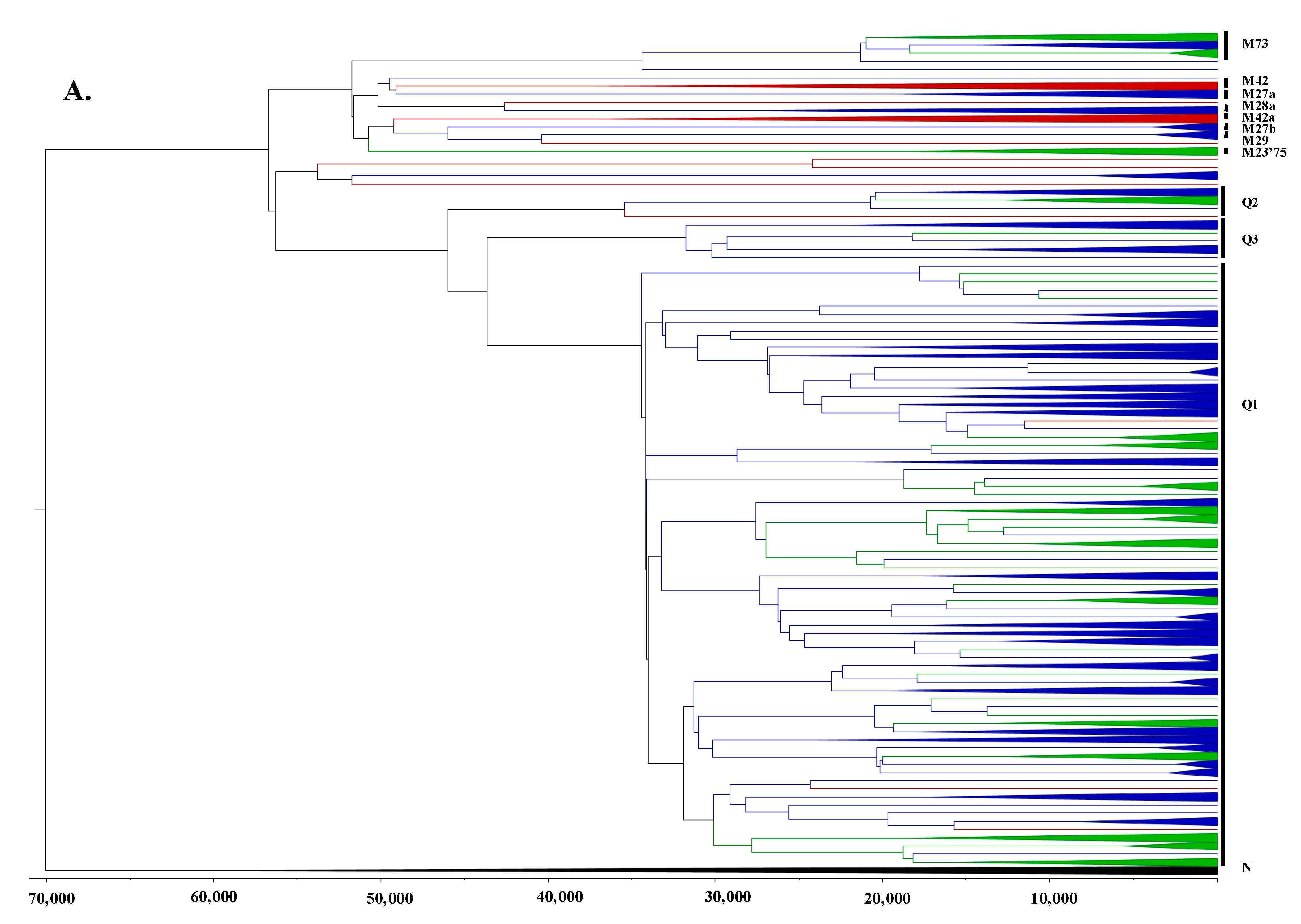 Genes 12 00965 g002a