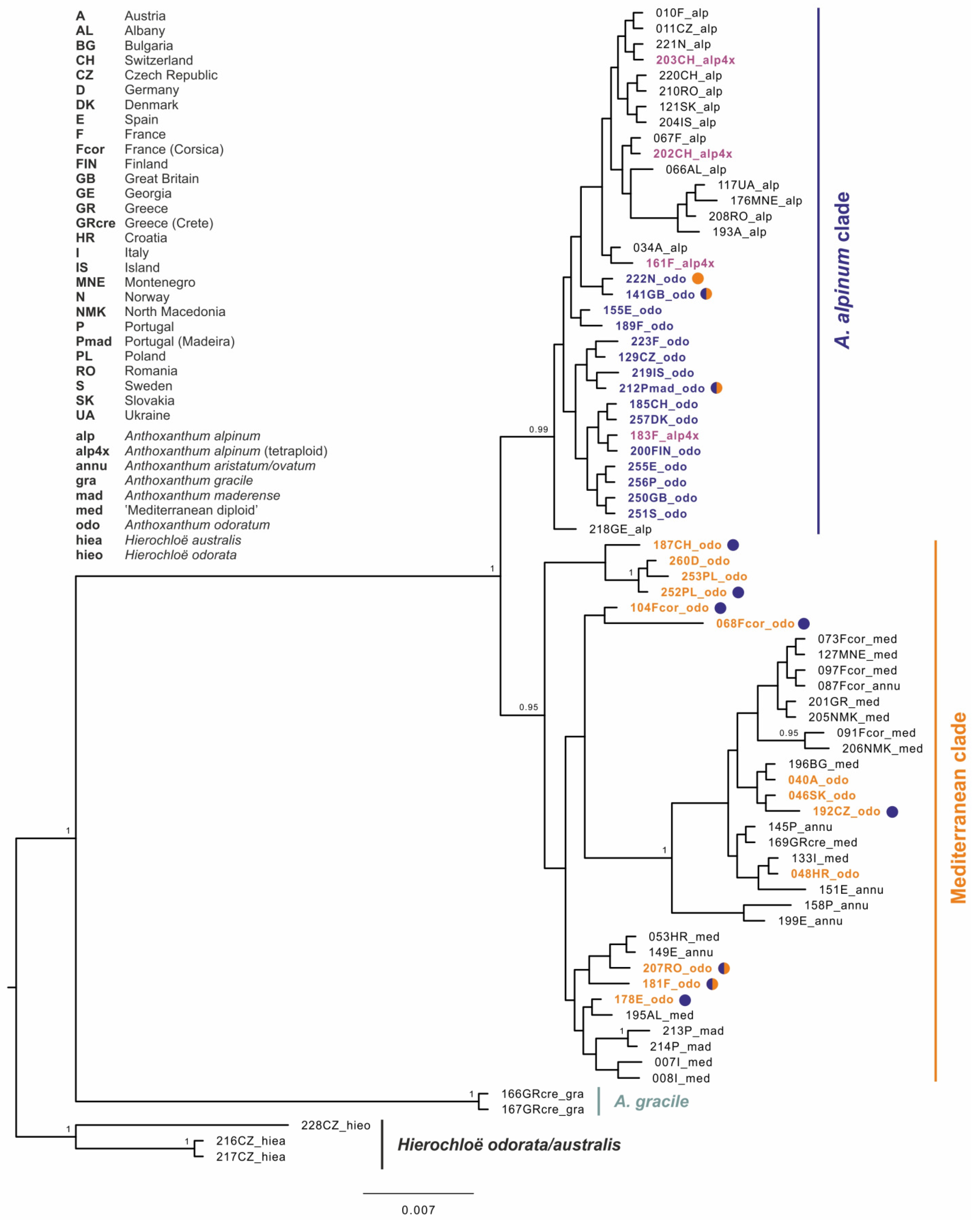 Genes 12 00966 g003