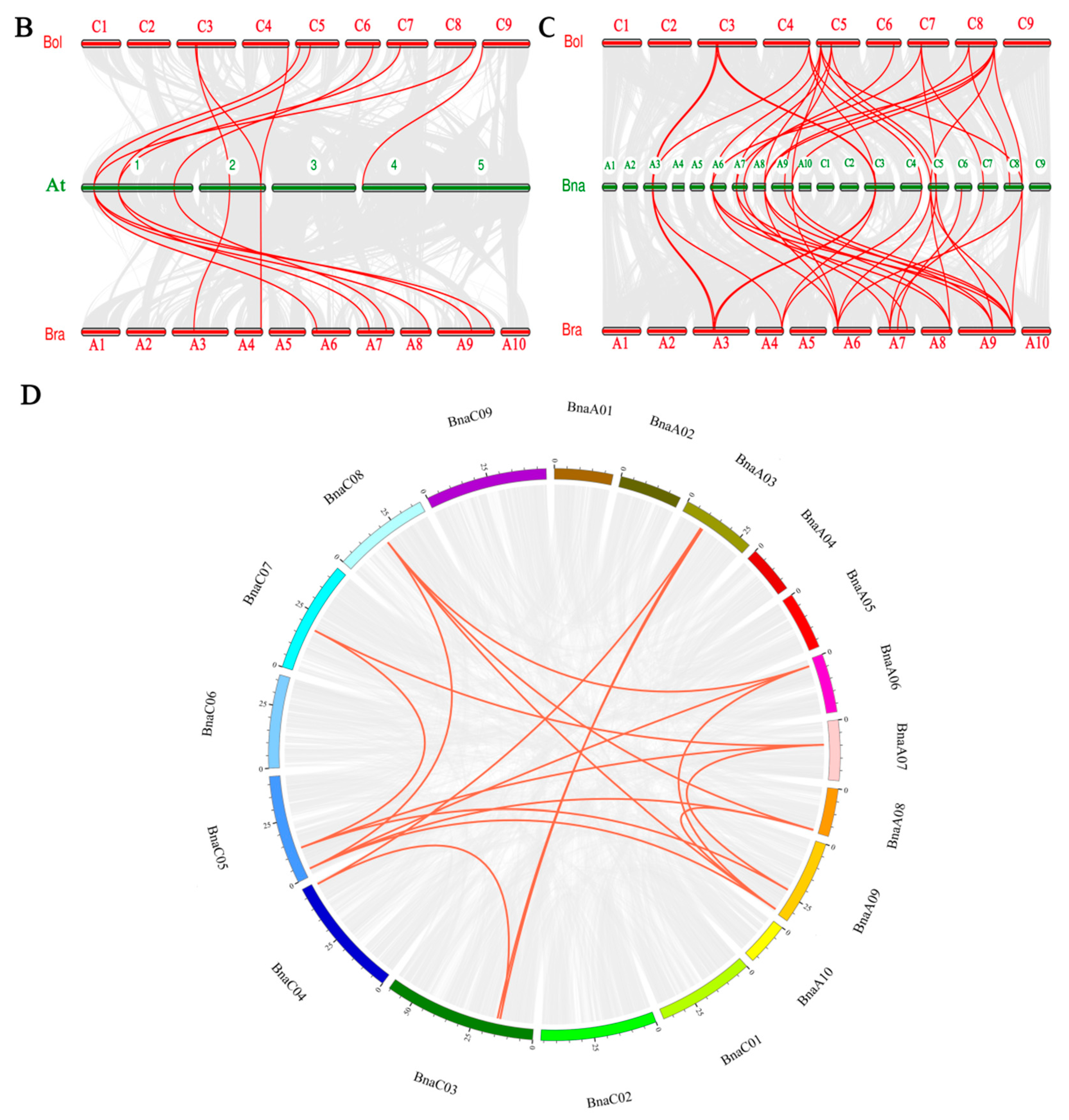 Genes 12 00981 g002b