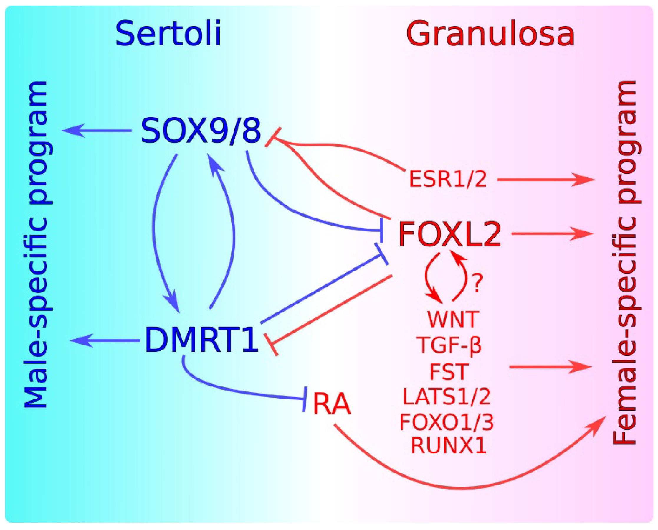 Genes 12 00999 g002 Genes 12 00999 g002
