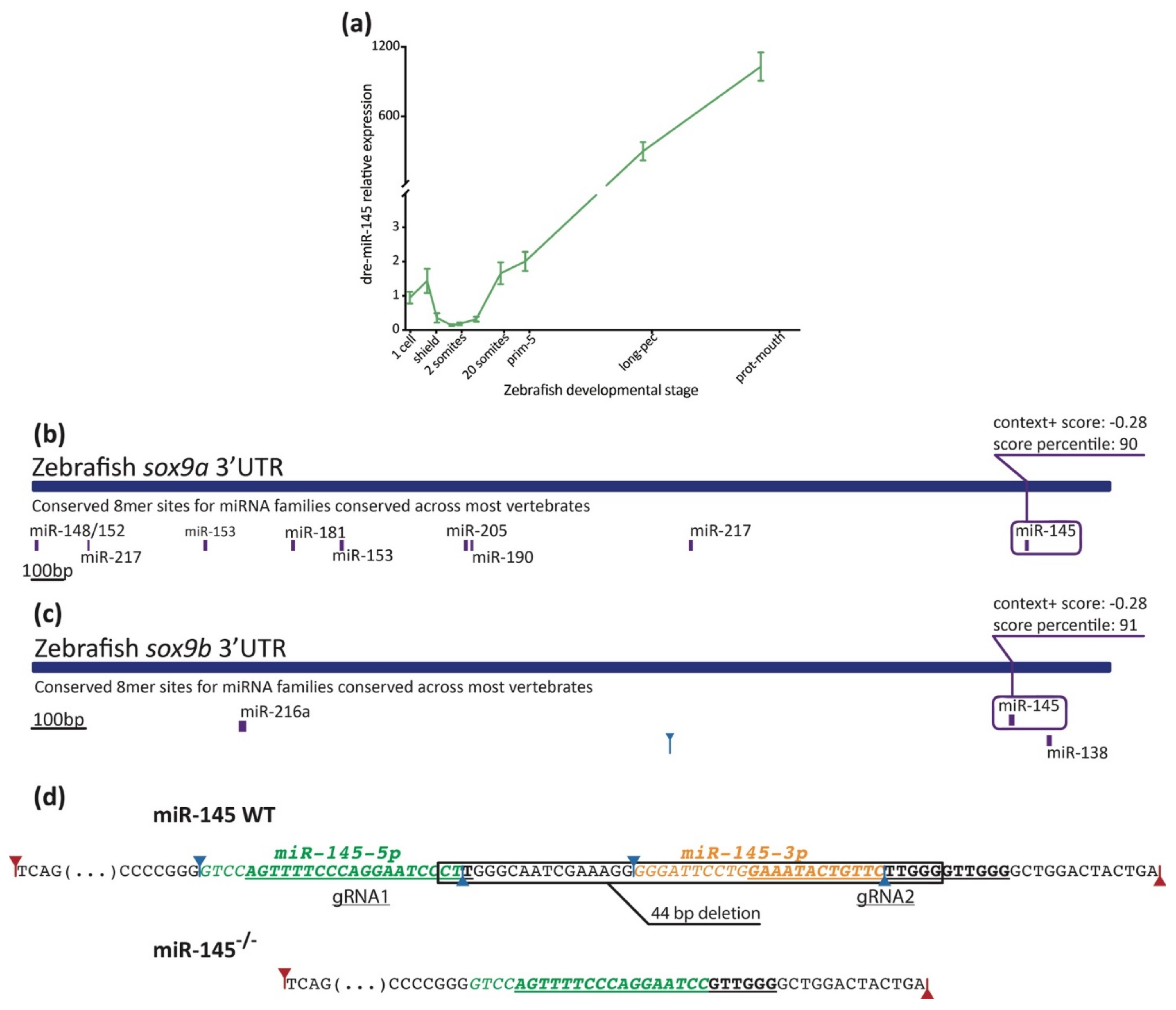 Genes 12 01023 g003 Genes 12 01023 g003