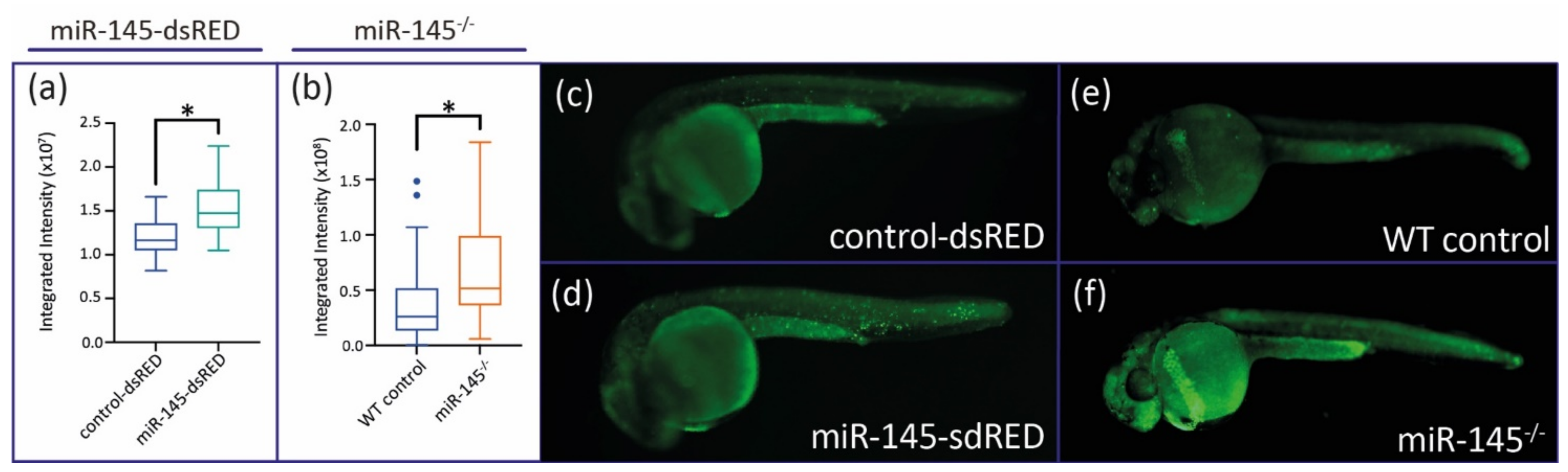 Genes 12 01023 g006 Genes 12 01023 g006