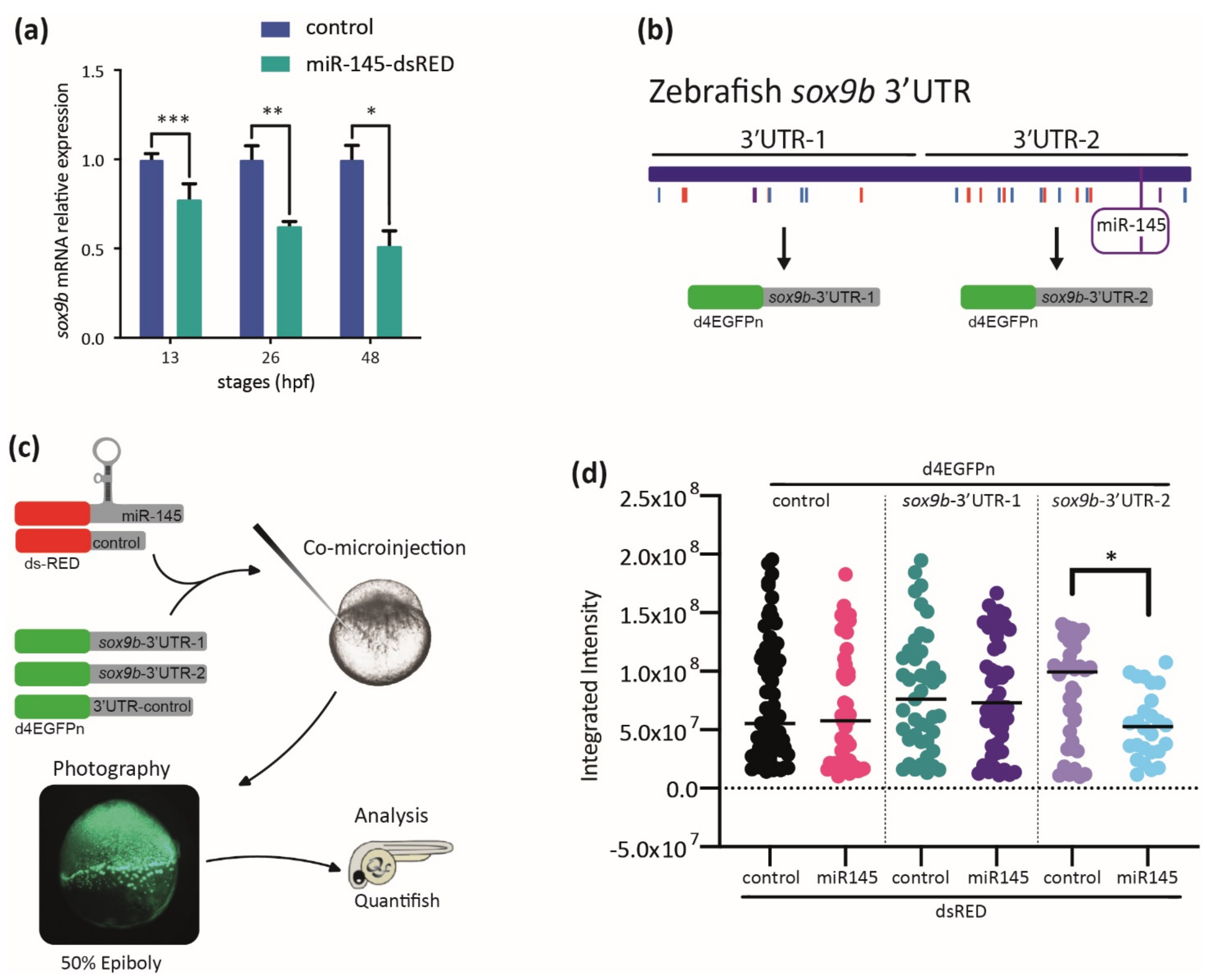 Genes 12 01023 g008 Genes 12 01023 g008