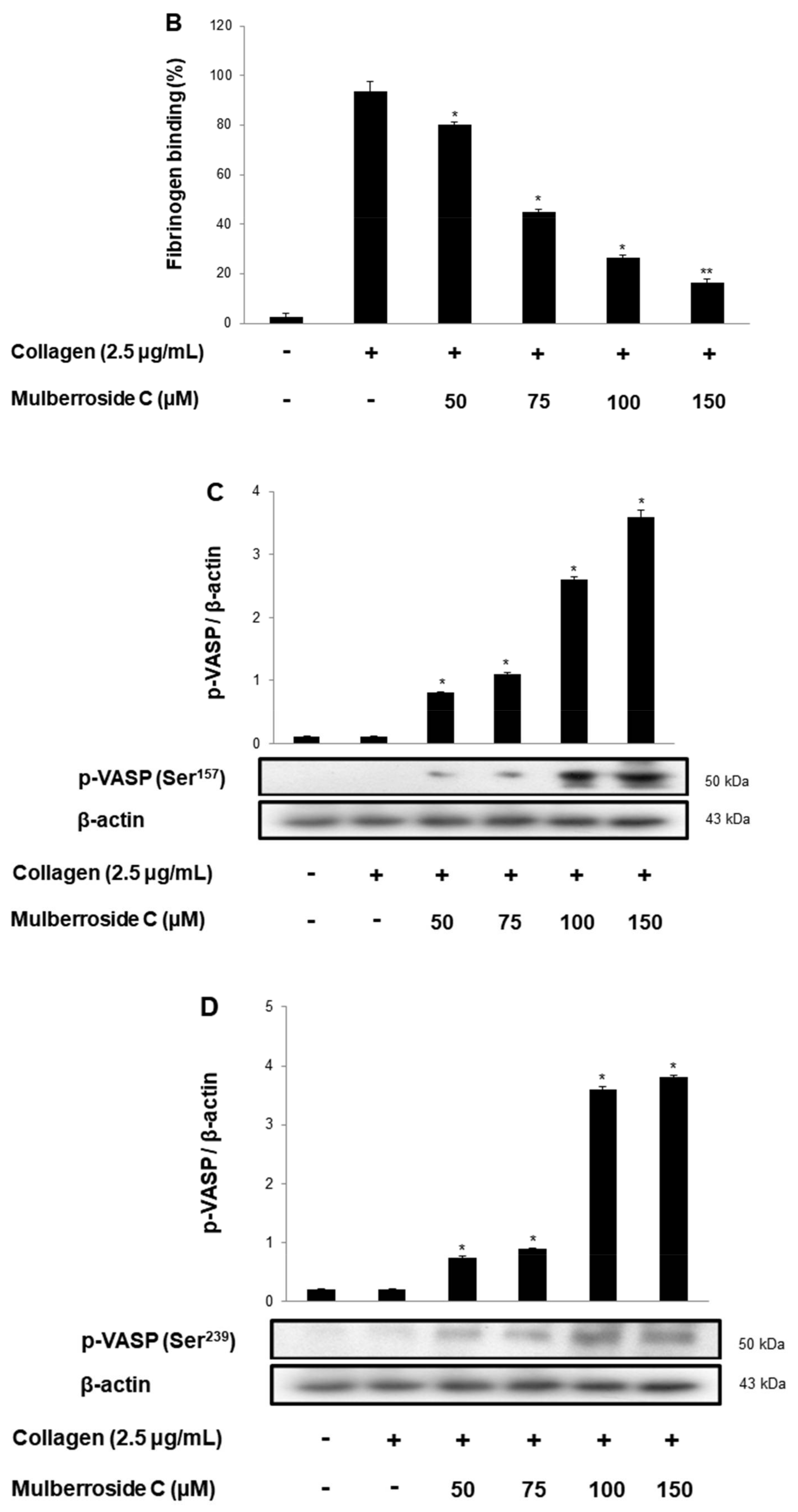Genes 12 01024 g006b