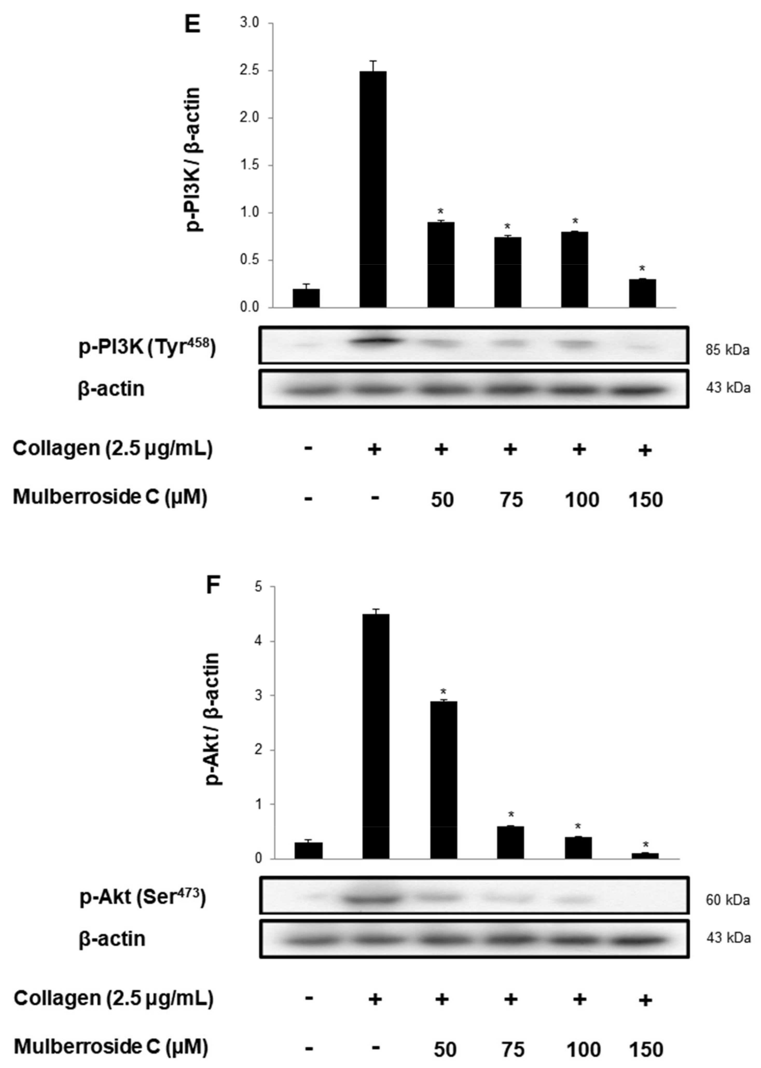 Genes 12 01024 g006c