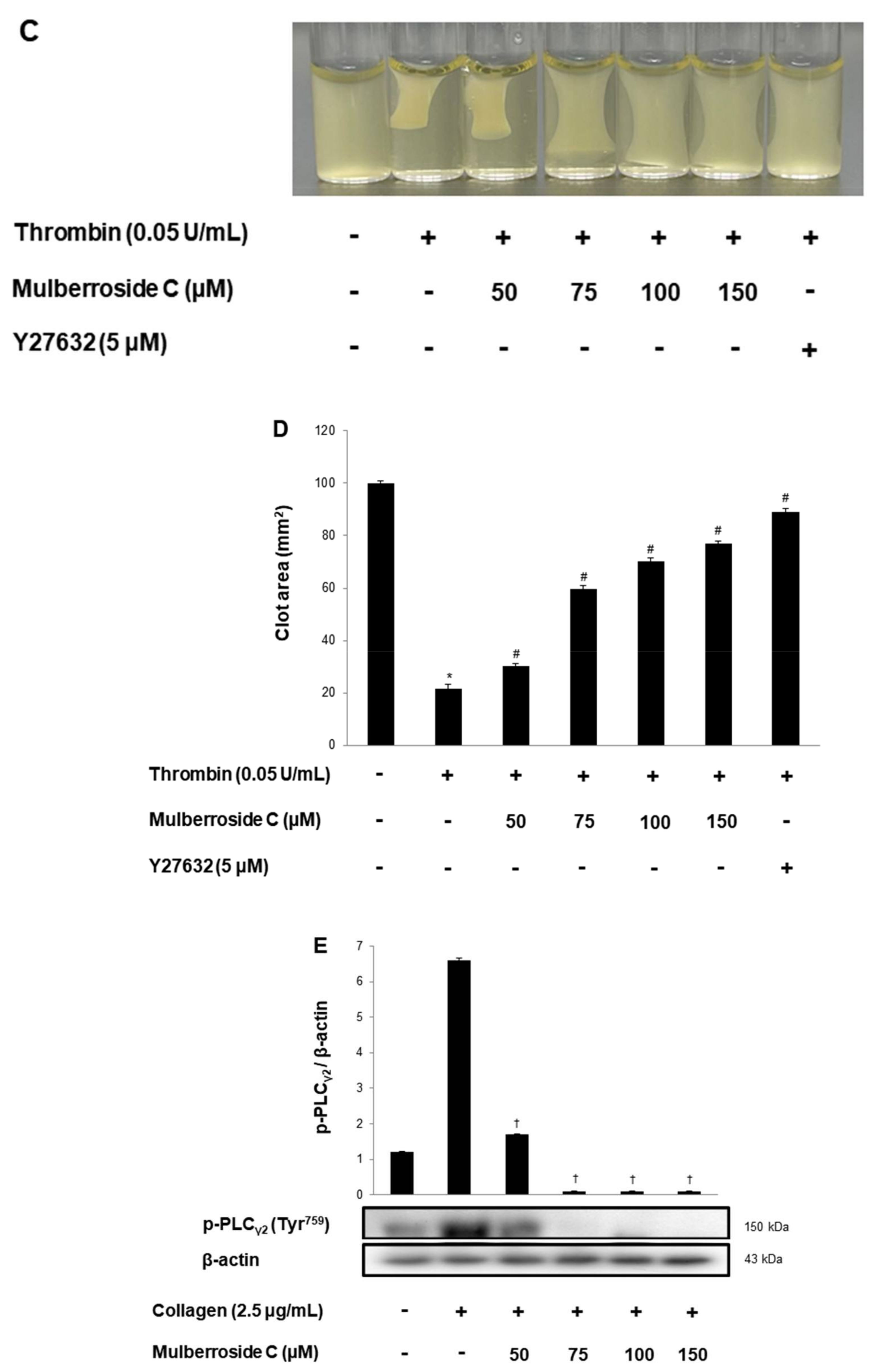 Genes 12 01024 g007b