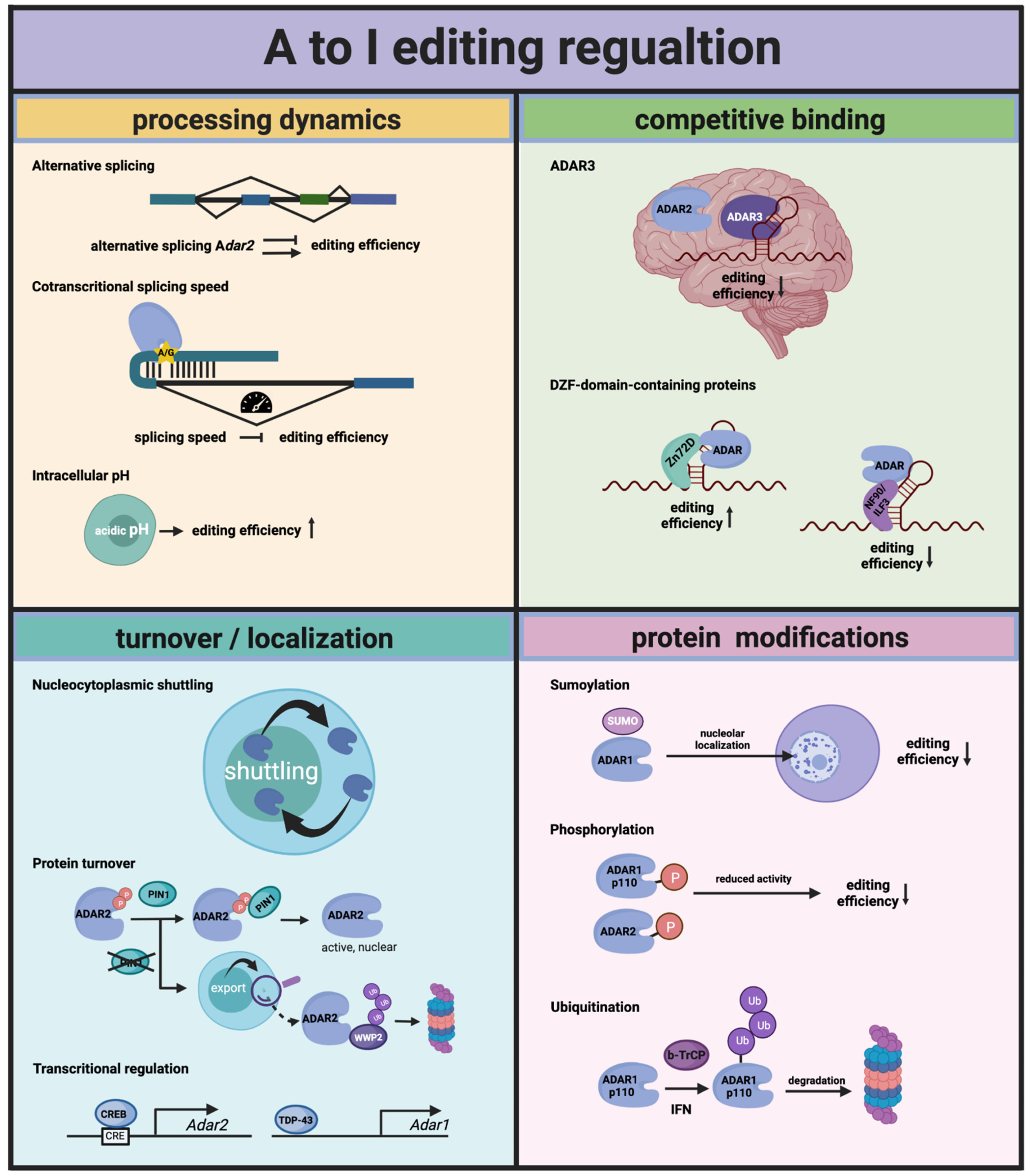 Genes 12 01026 g002