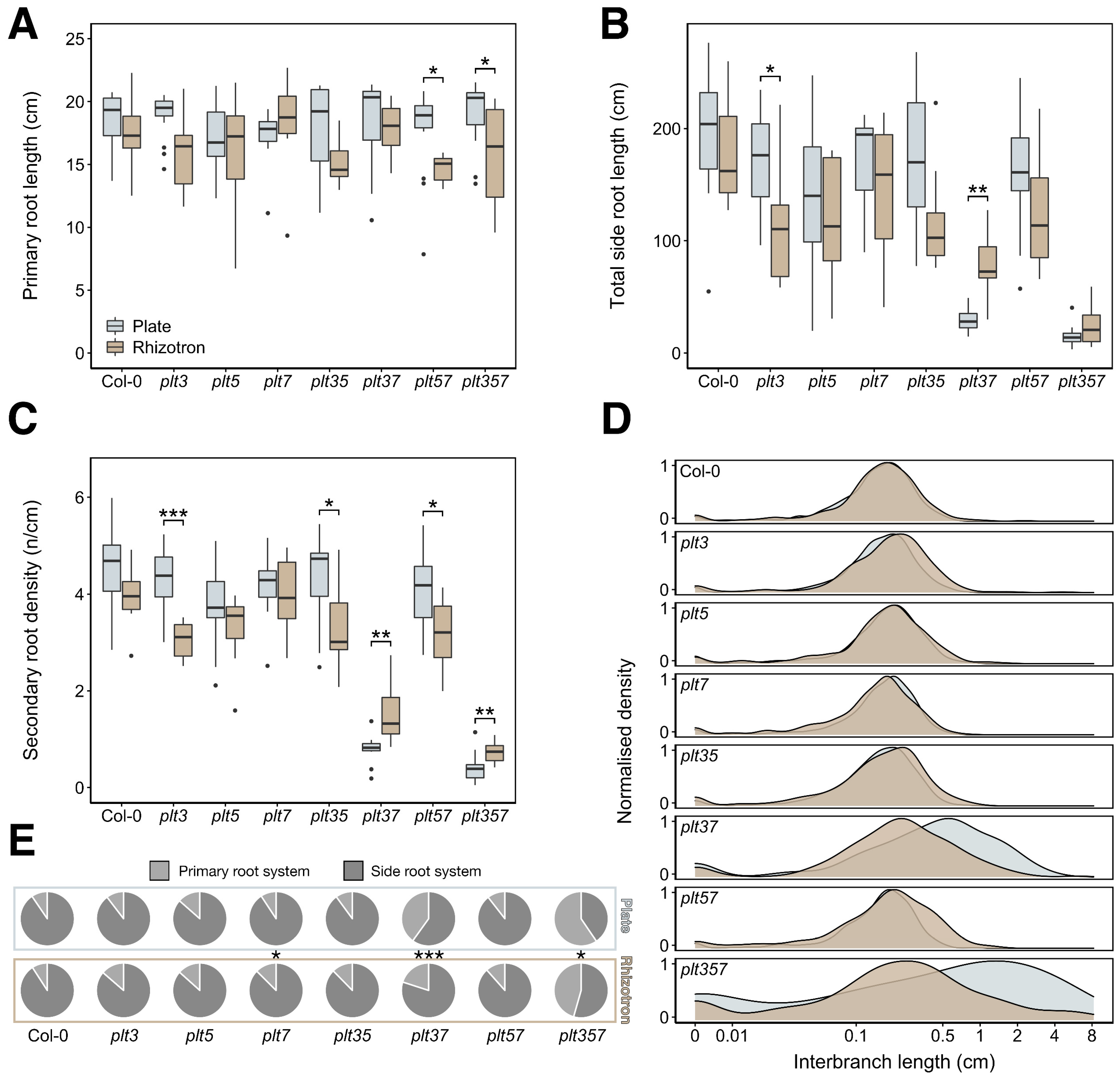 Genes 12 01028 g004