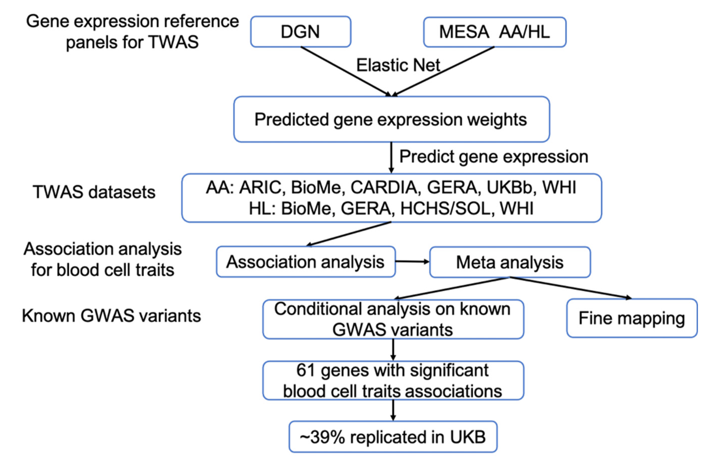 Genes 12 01049 g001
