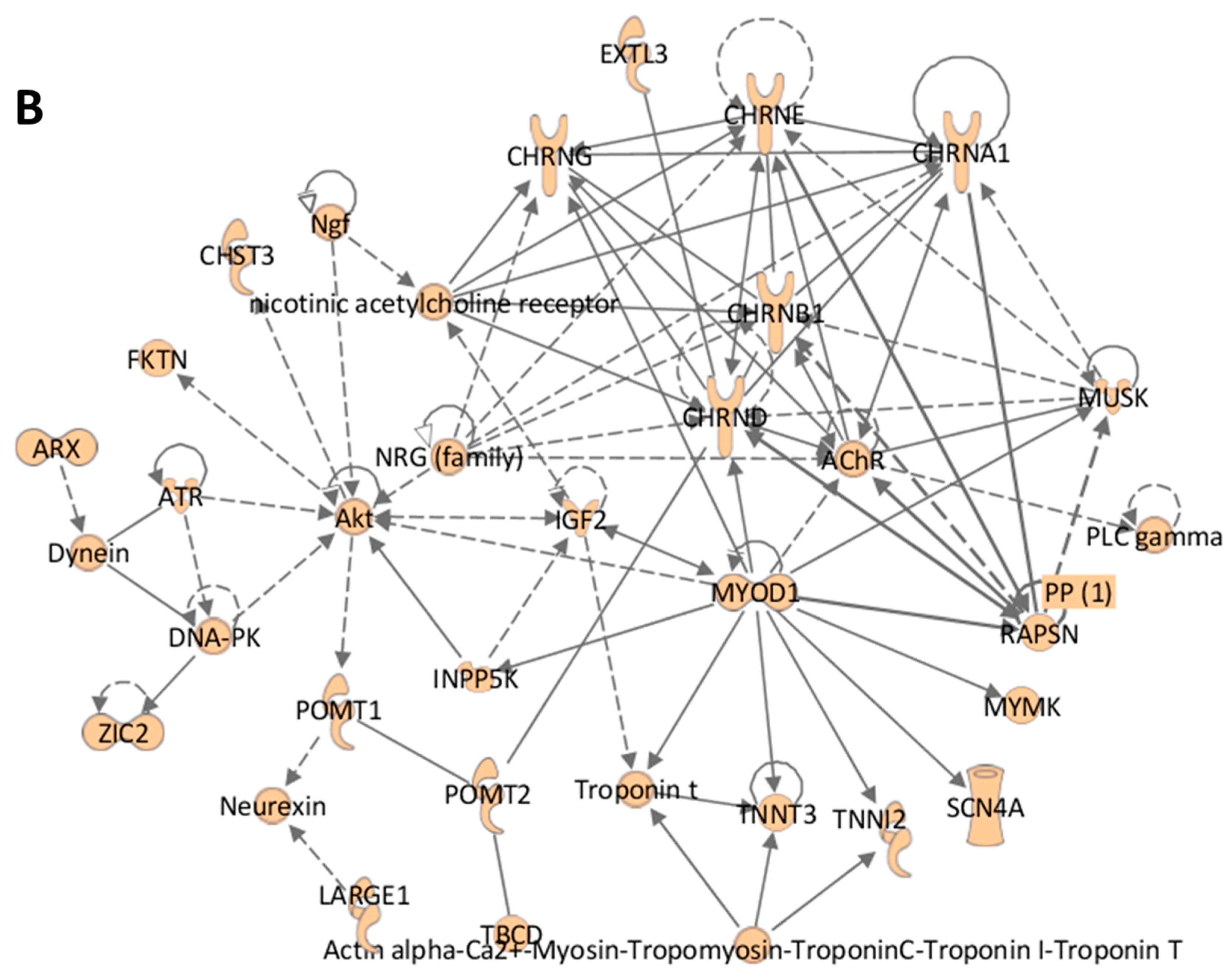 Genes 12 01052 g003b