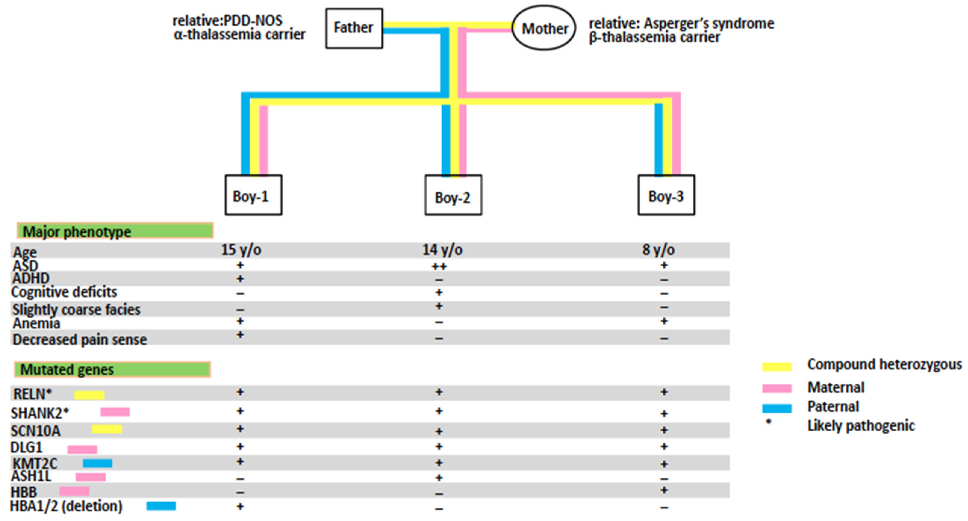 Contribution of Multiple Inherited Variants to Autism Spectrum Disorder ...