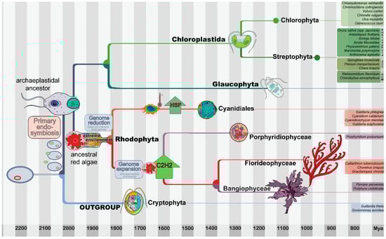 Genes 12 01055 g001 550