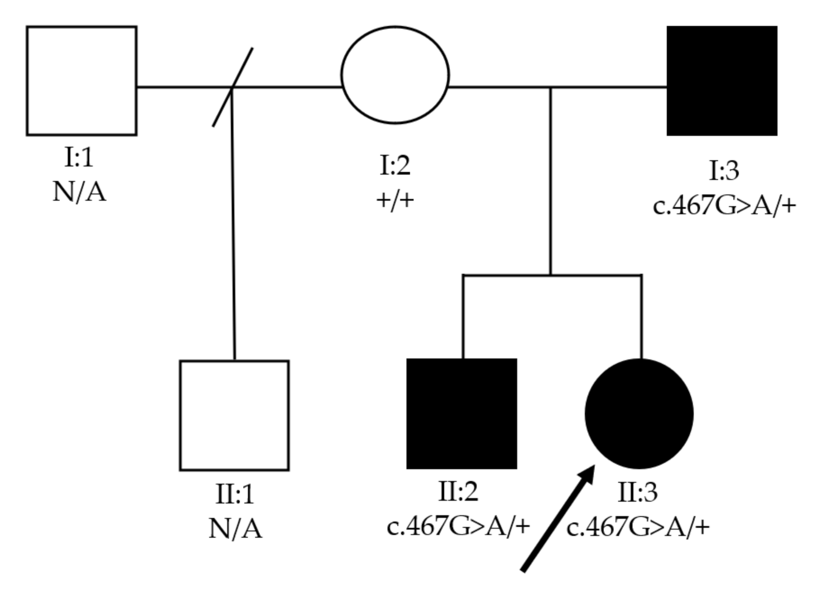 Genes 12 01069 g002