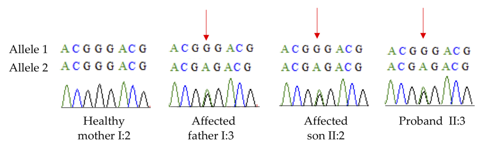Genes 12 01069 g003