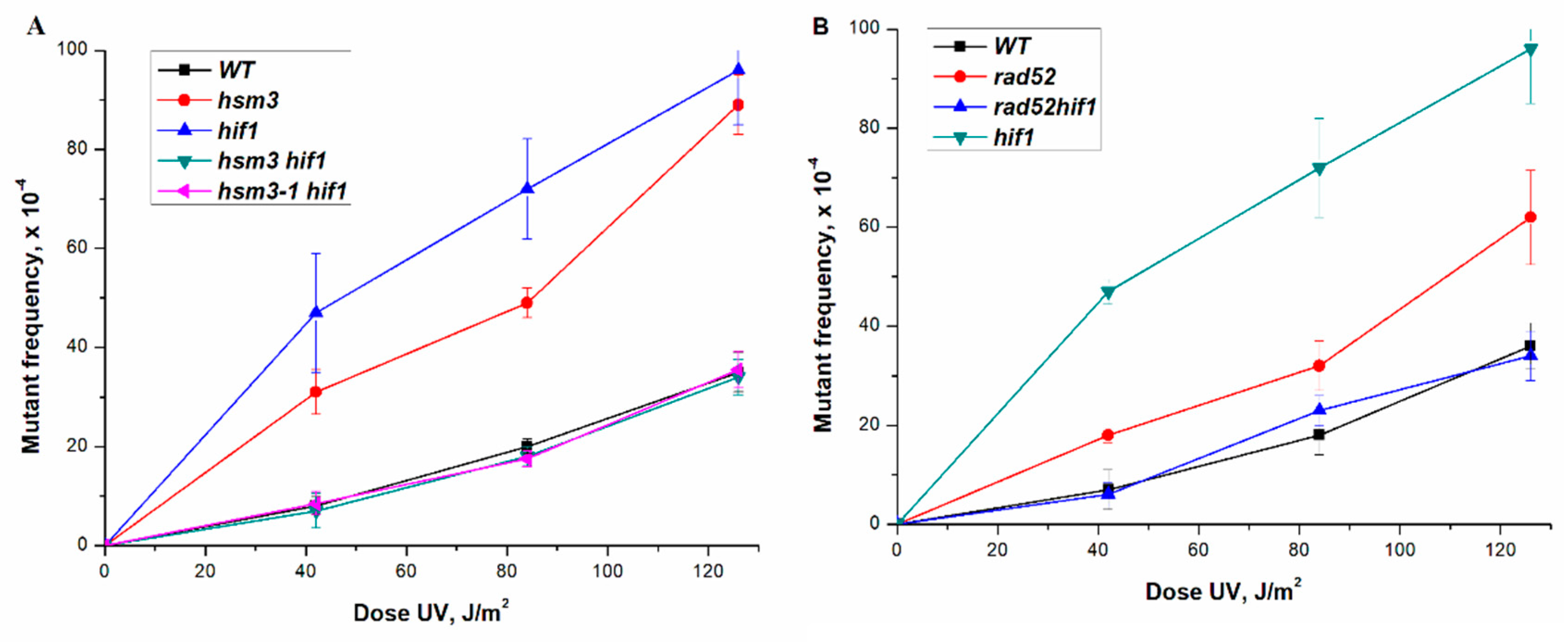 Genes 12 01083 g002
