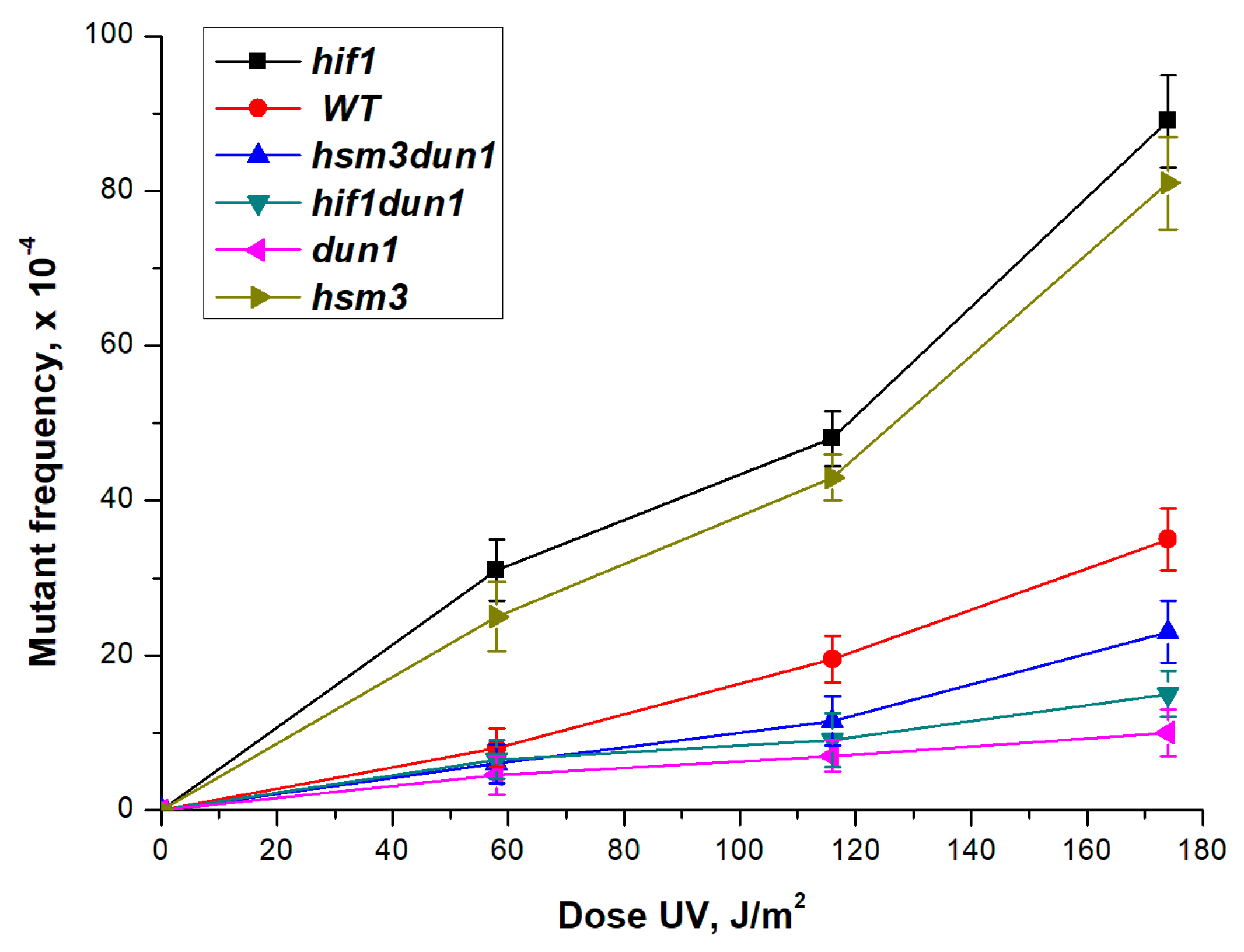 Genes 12 01083 g008