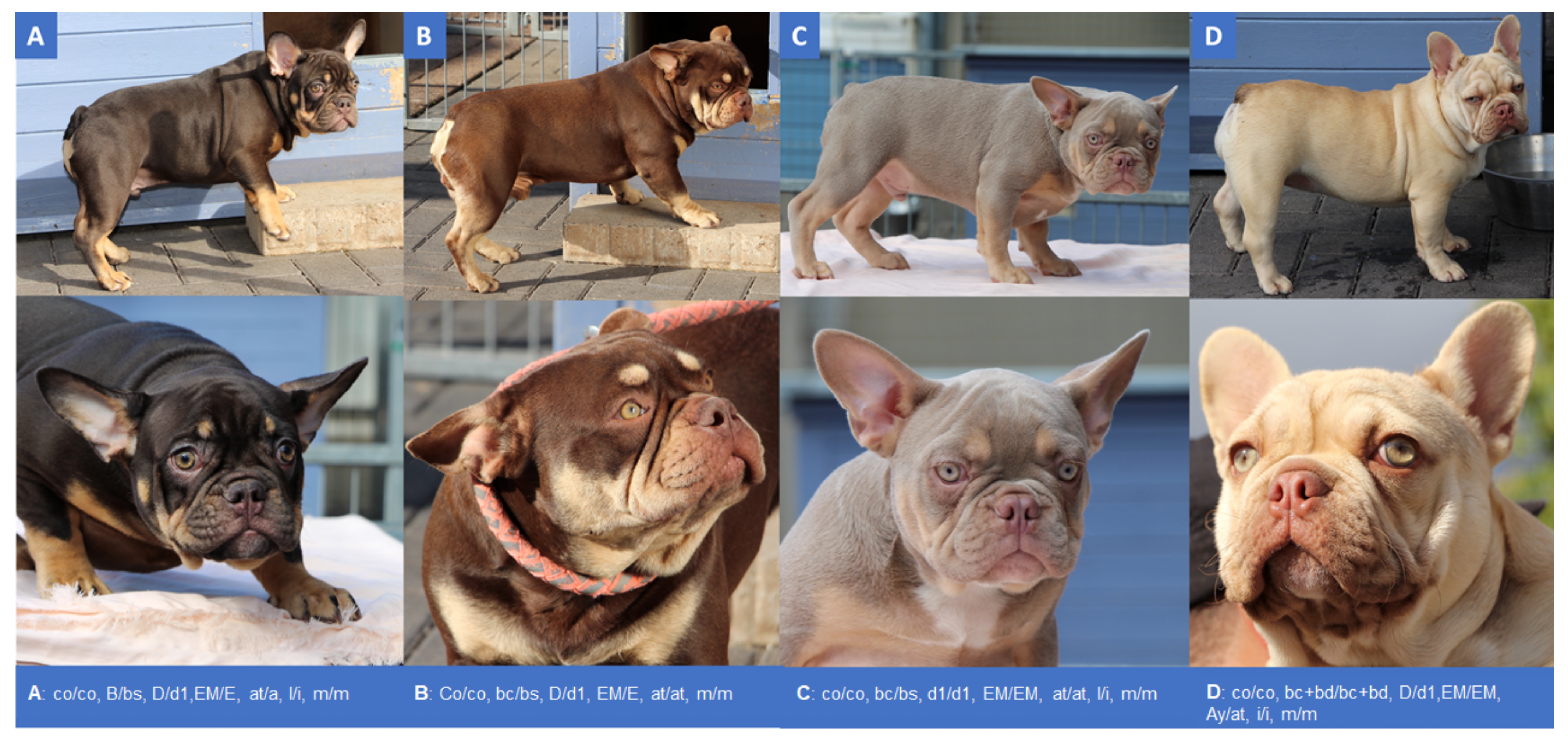 Genes 12 01092 g001a