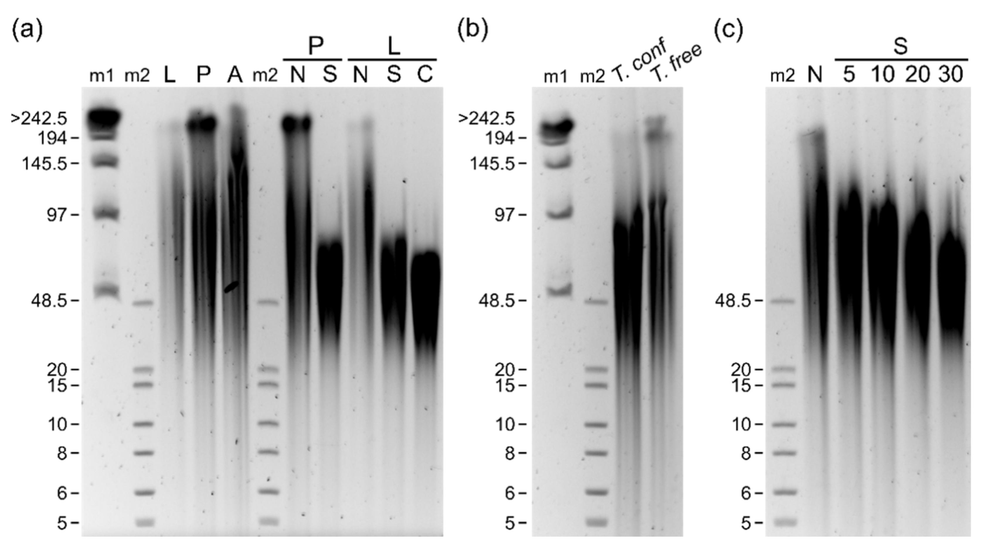 Genes 12 01114 g003