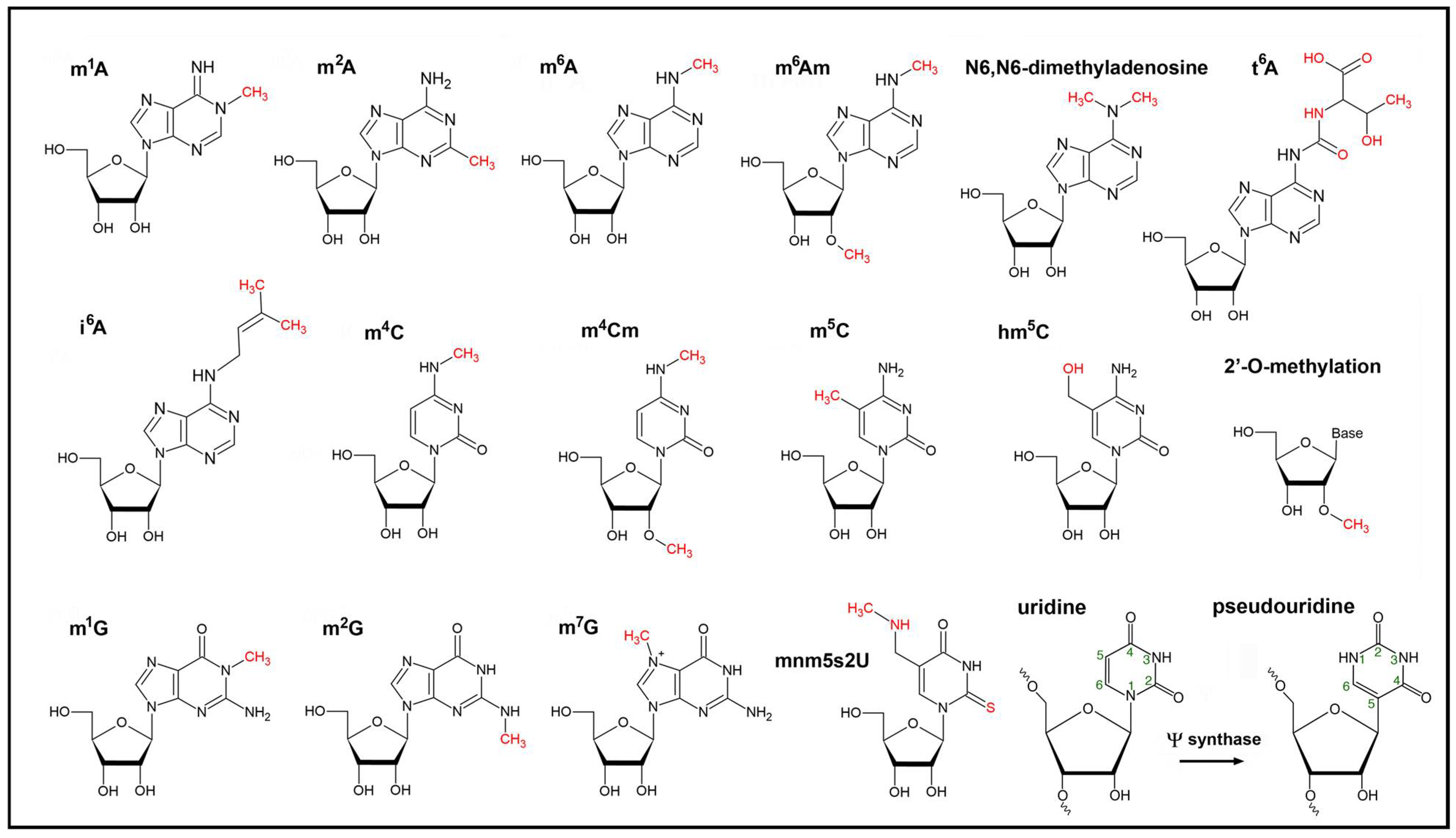 Genes 12 01121 g001 Genes 12 01121 g001