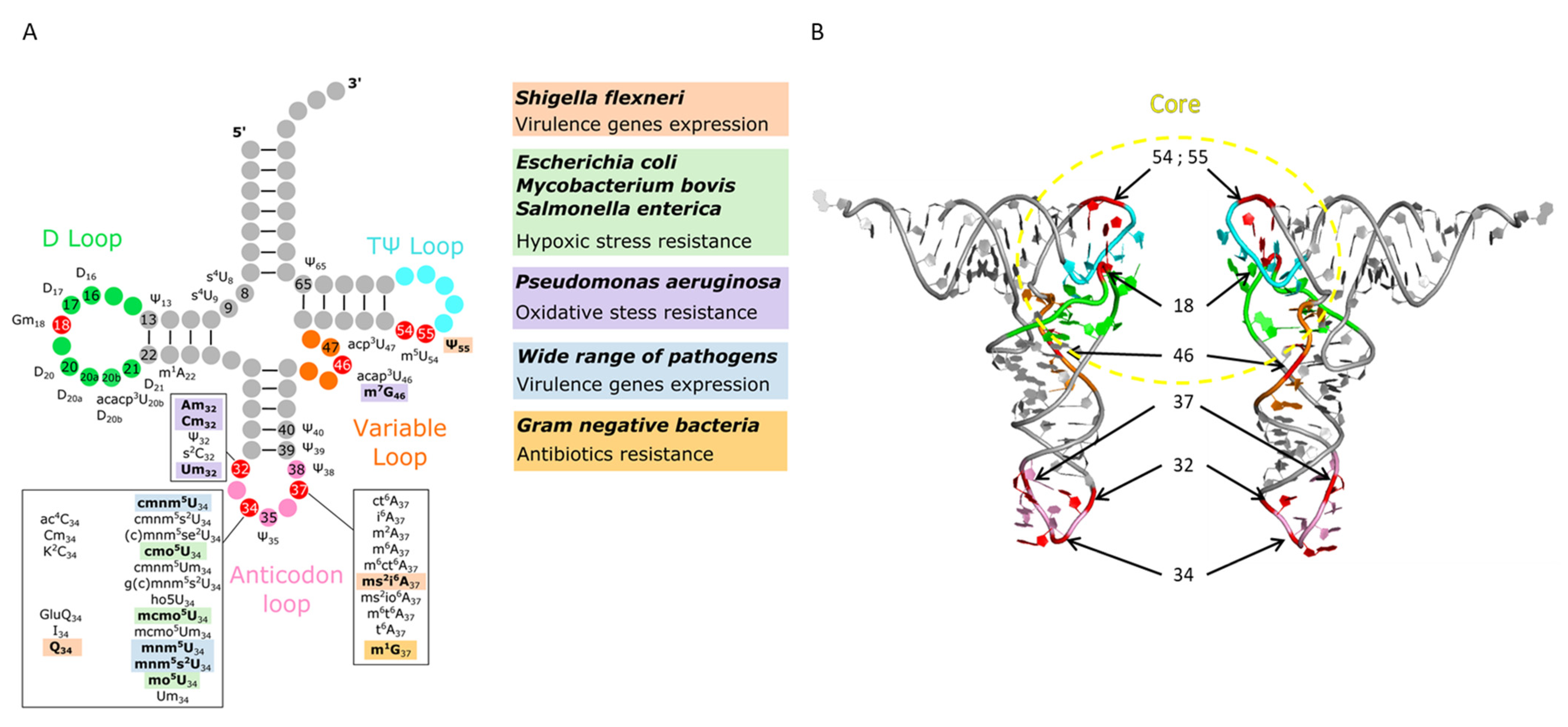 Genes 12 01125 g002