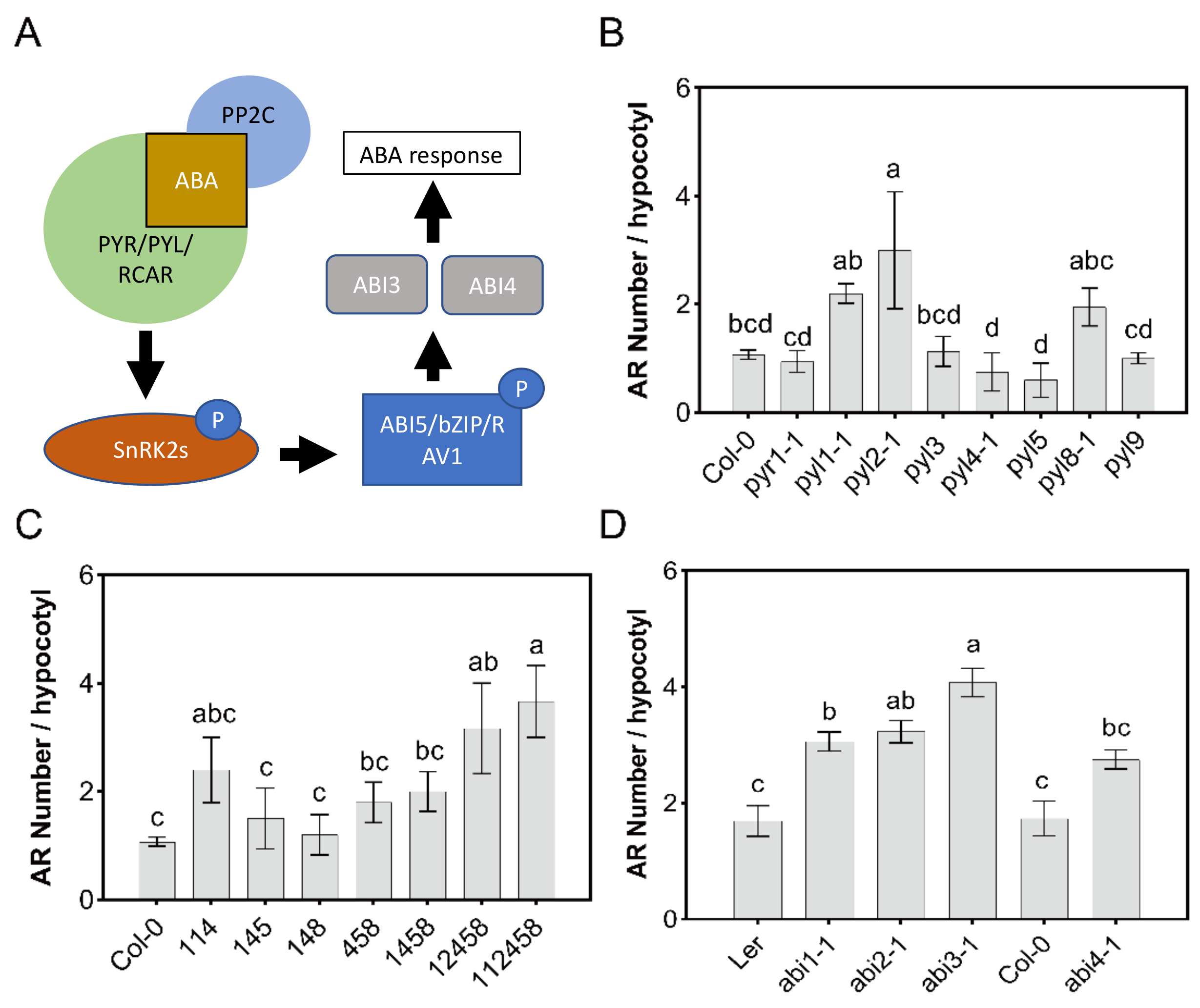 Genes 12 01141 g003
