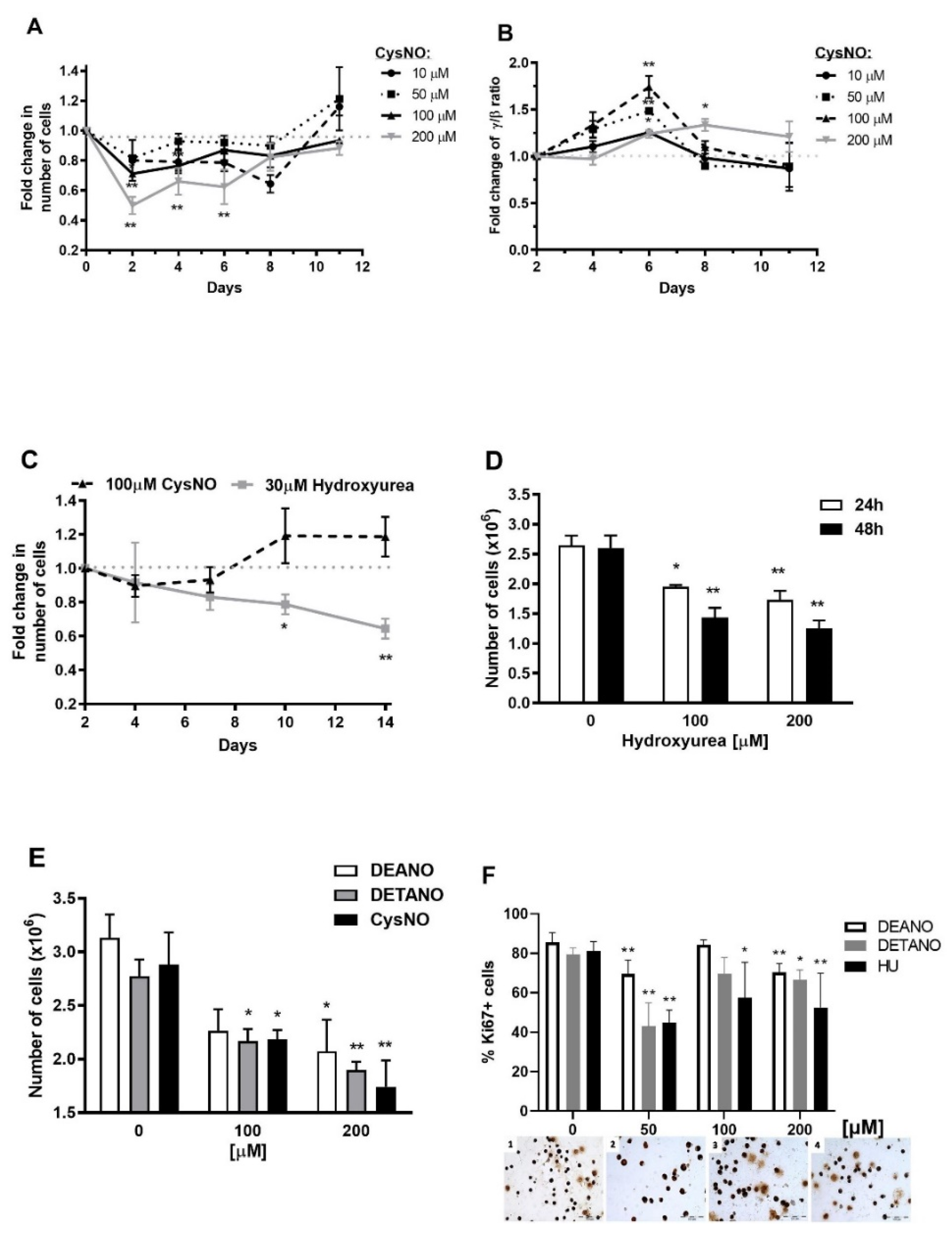 Genes 12 01145 g001