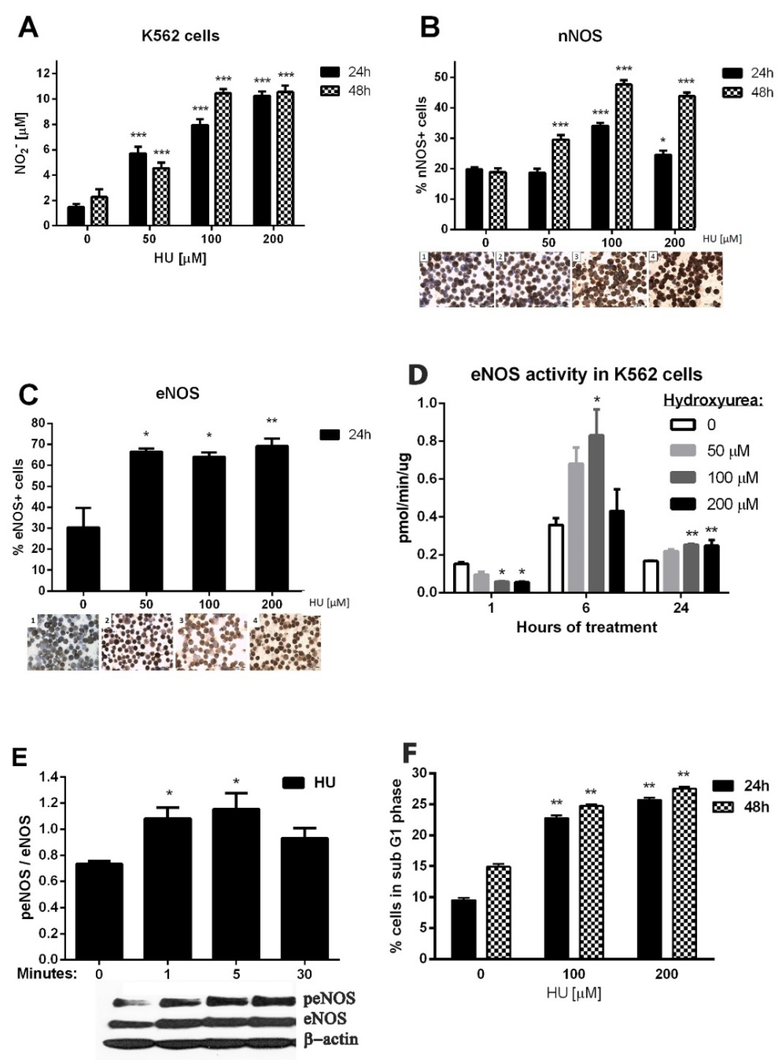 Genes 12 01145 g002