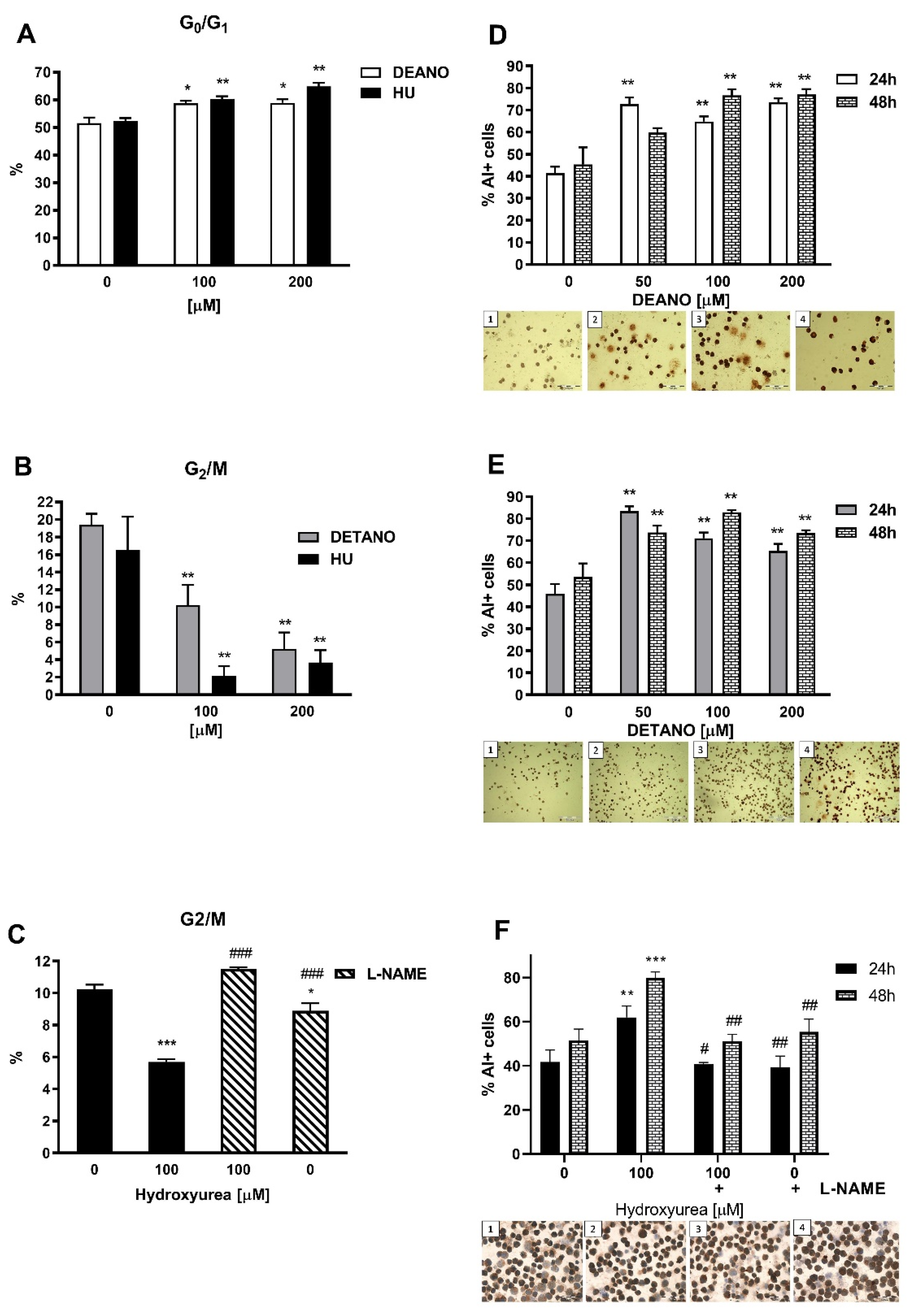 Genes 12 01145 g003