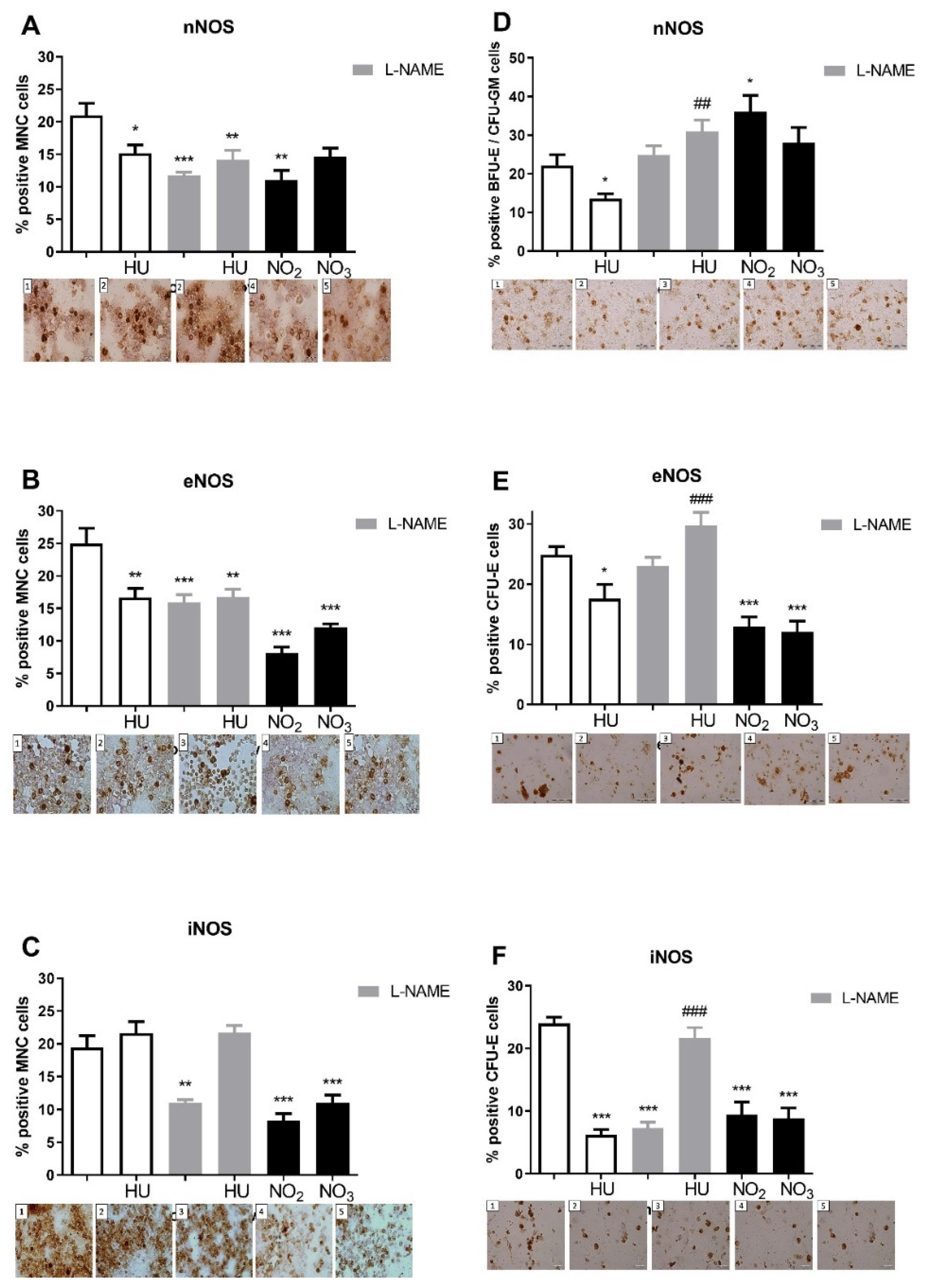 Genes 12 01145 g006