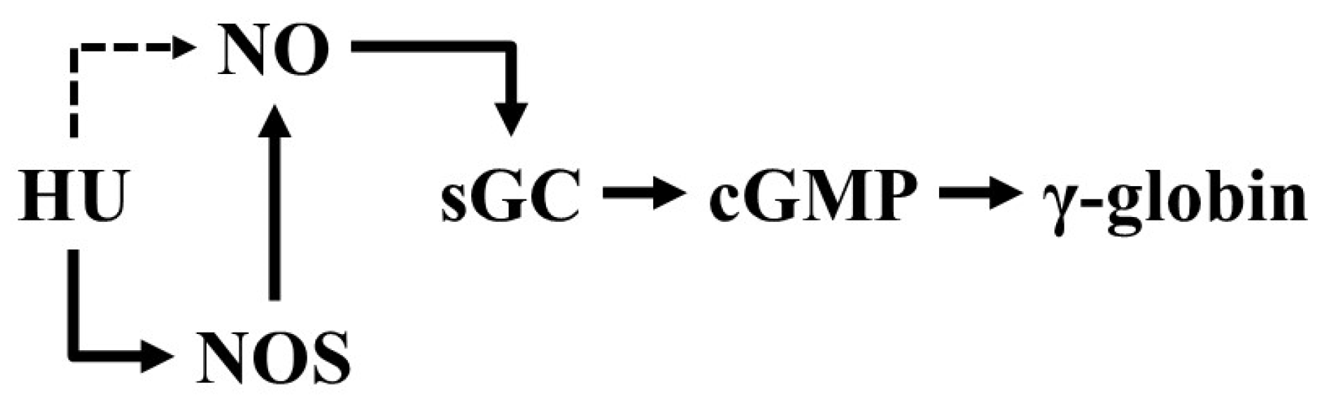 Genes 12 01145 sch001