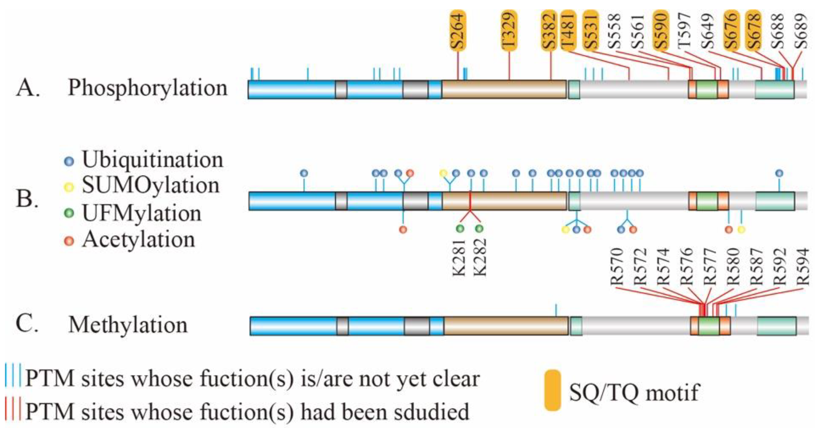 Genes 12 01158 g003