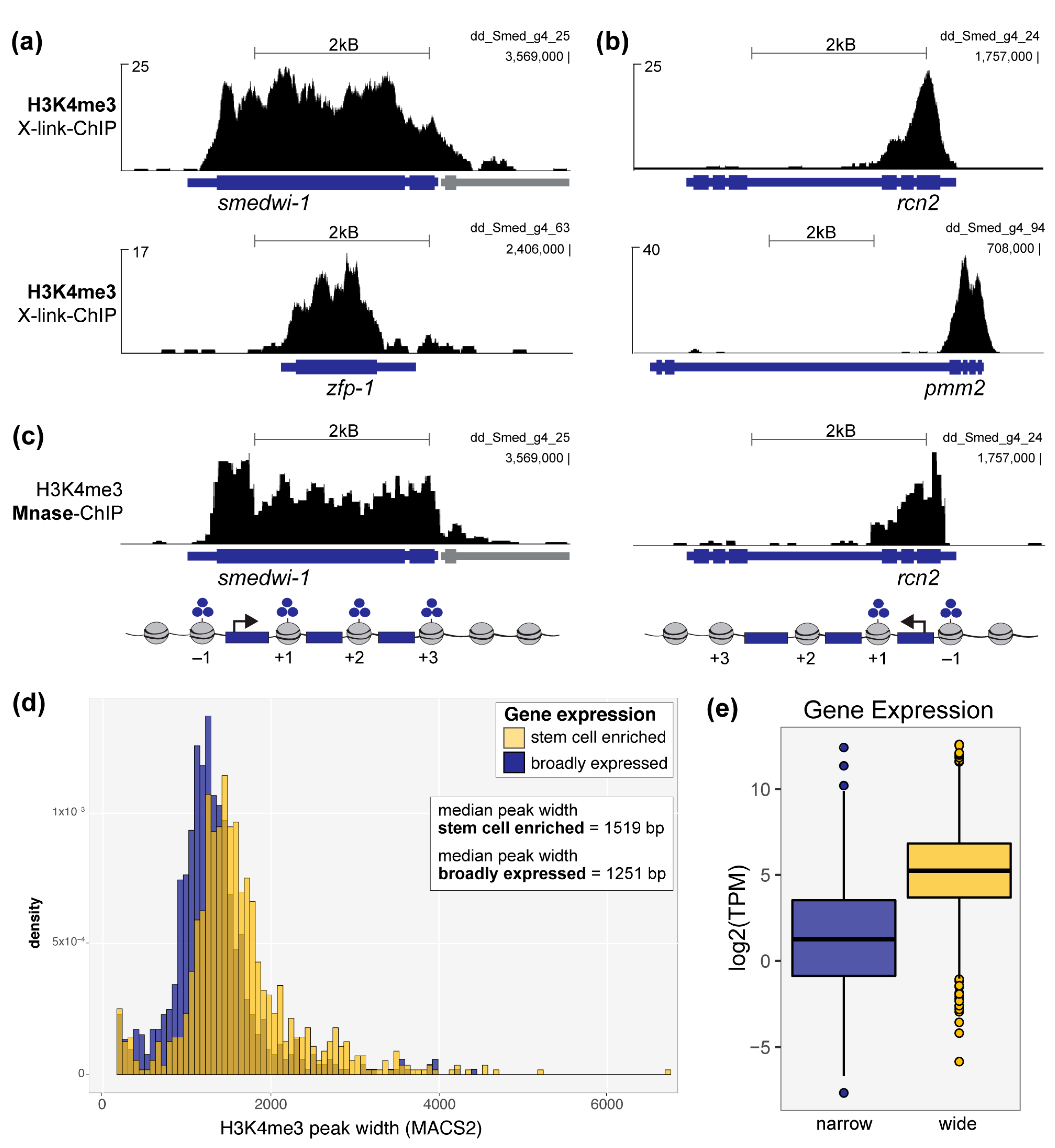 Genes 12 01182 g001