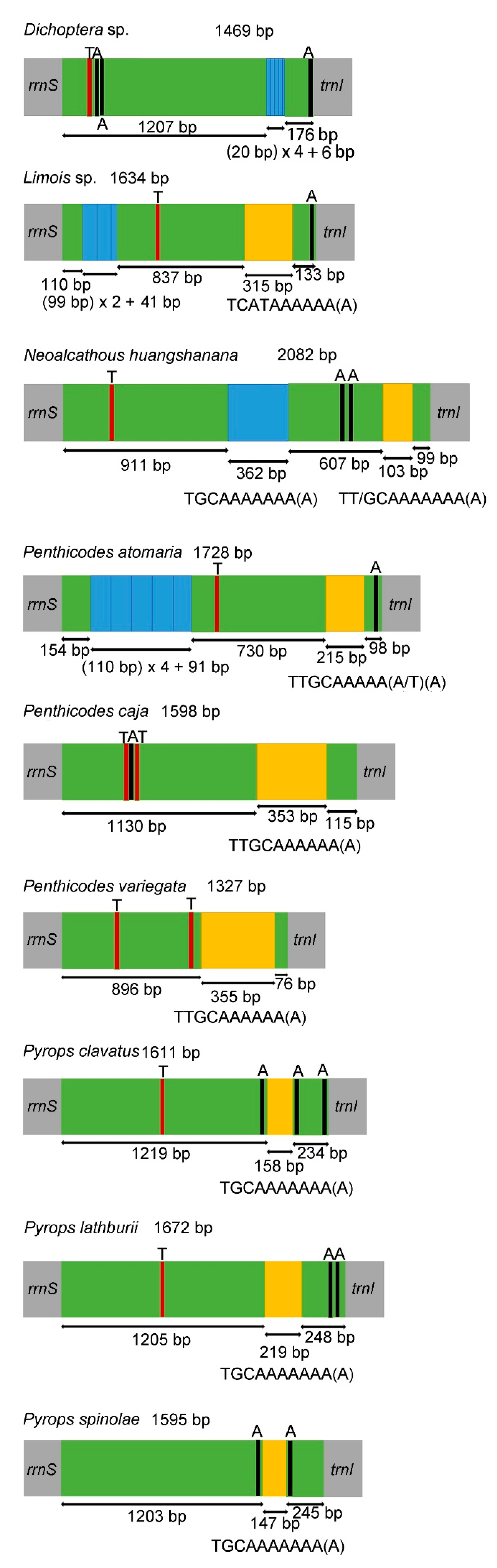 Genes 12 01185 g005