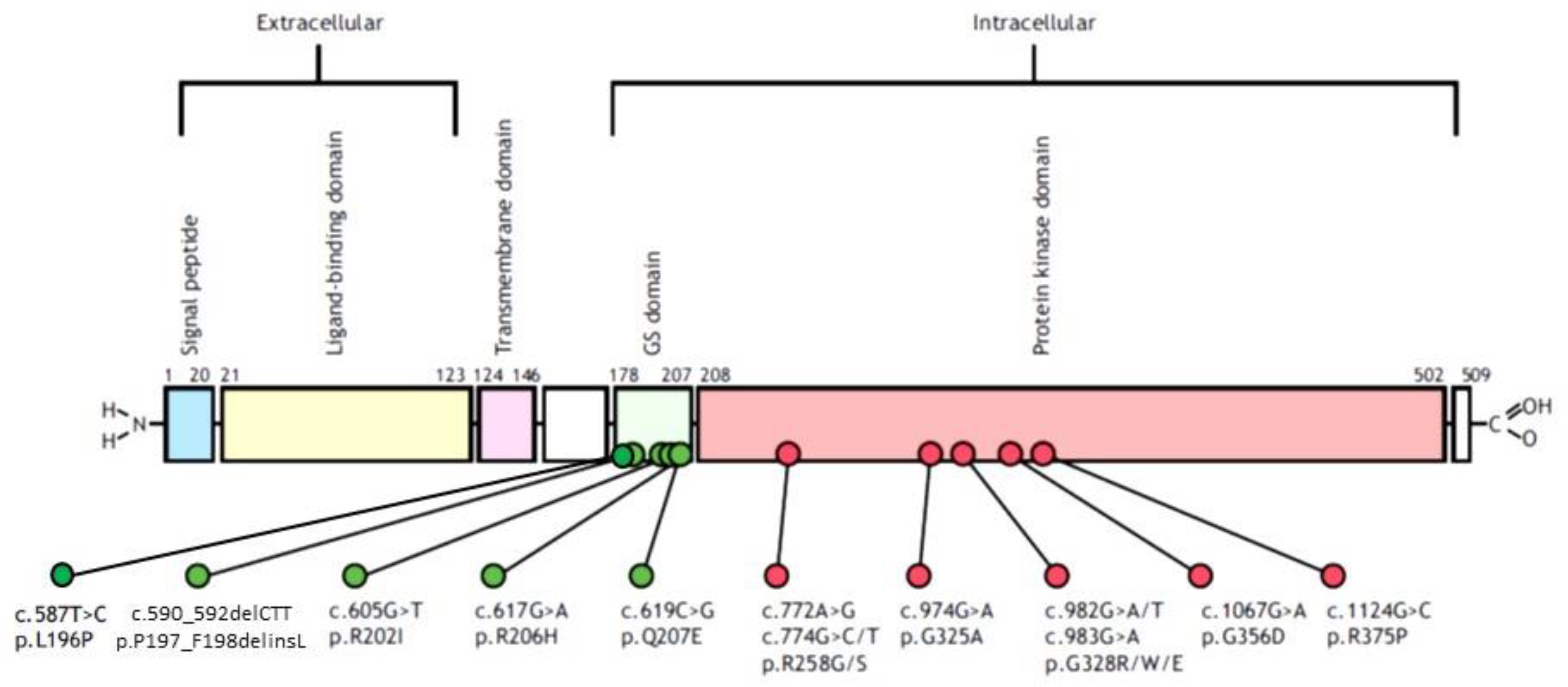 Genes 12 01187 g001