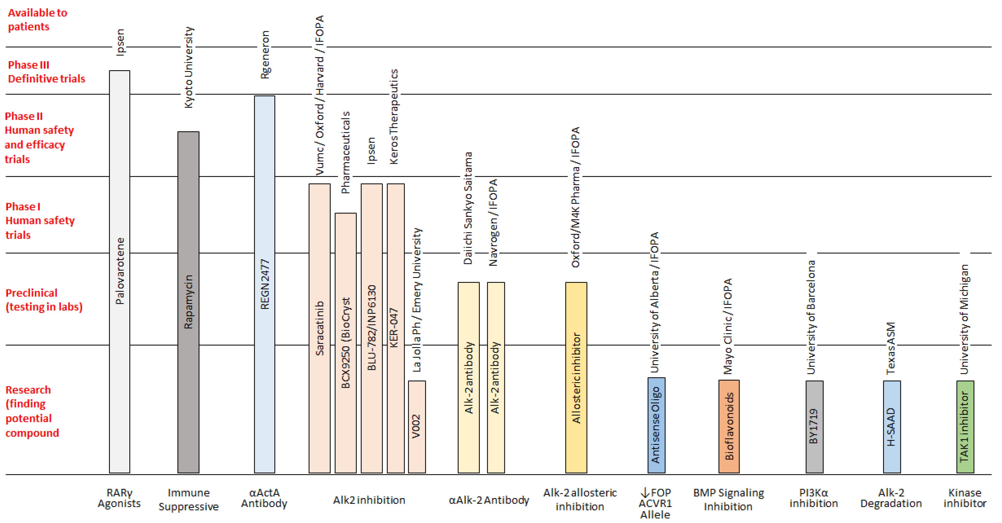 Genes 12 01187 g003