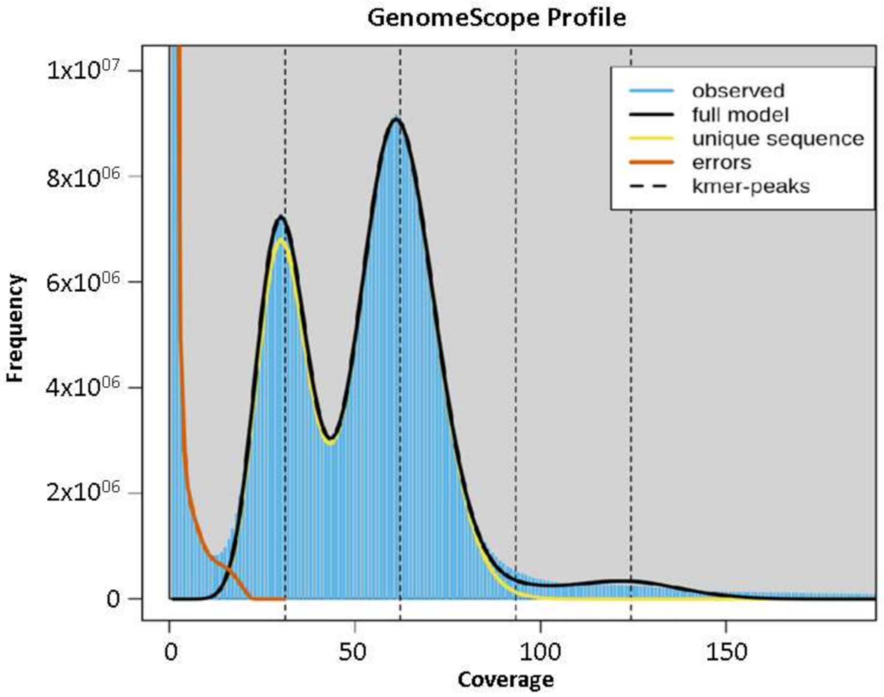 Genes 12 01202 g001