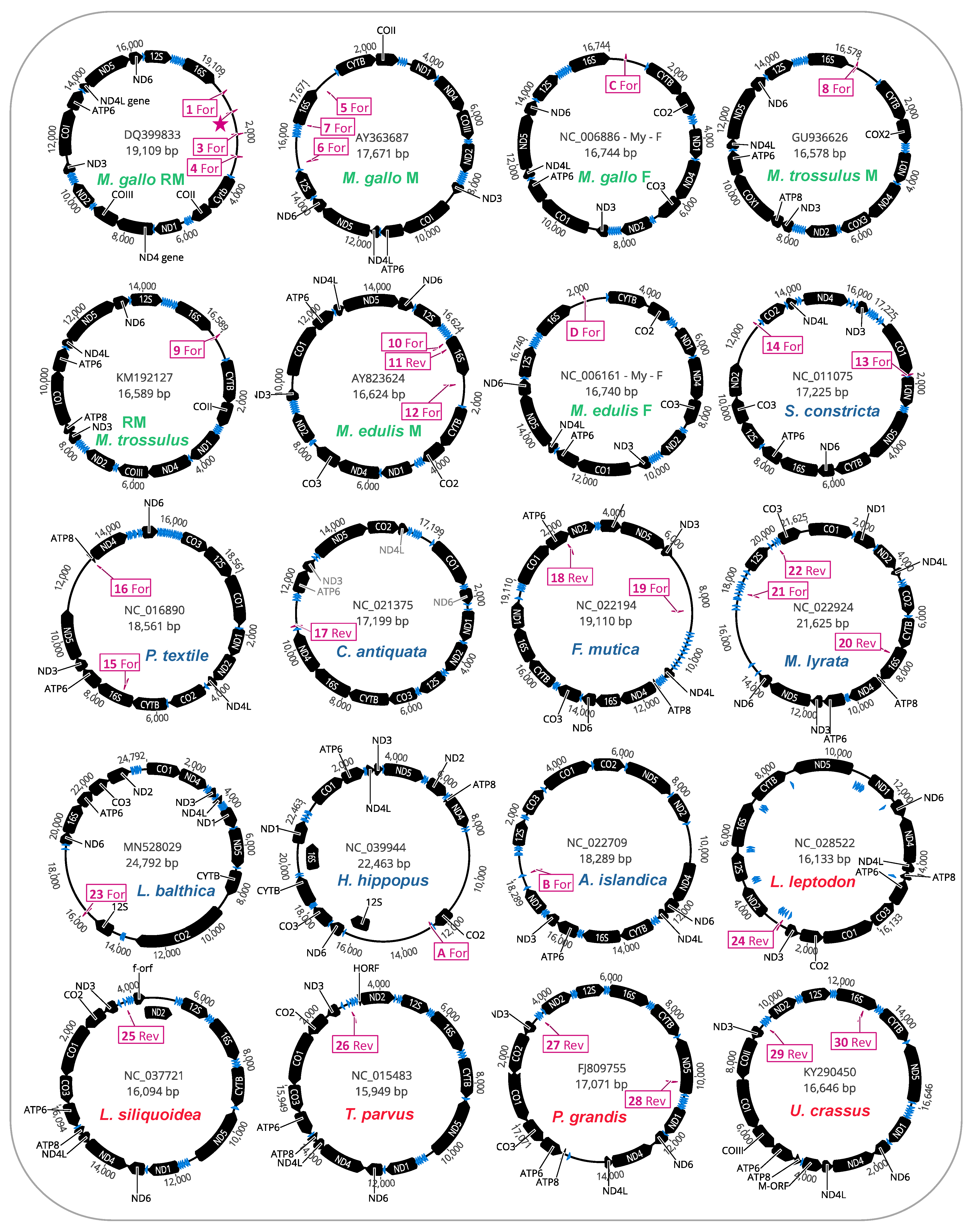 Genes 12 01211 g003 Genes 12 01211 g003