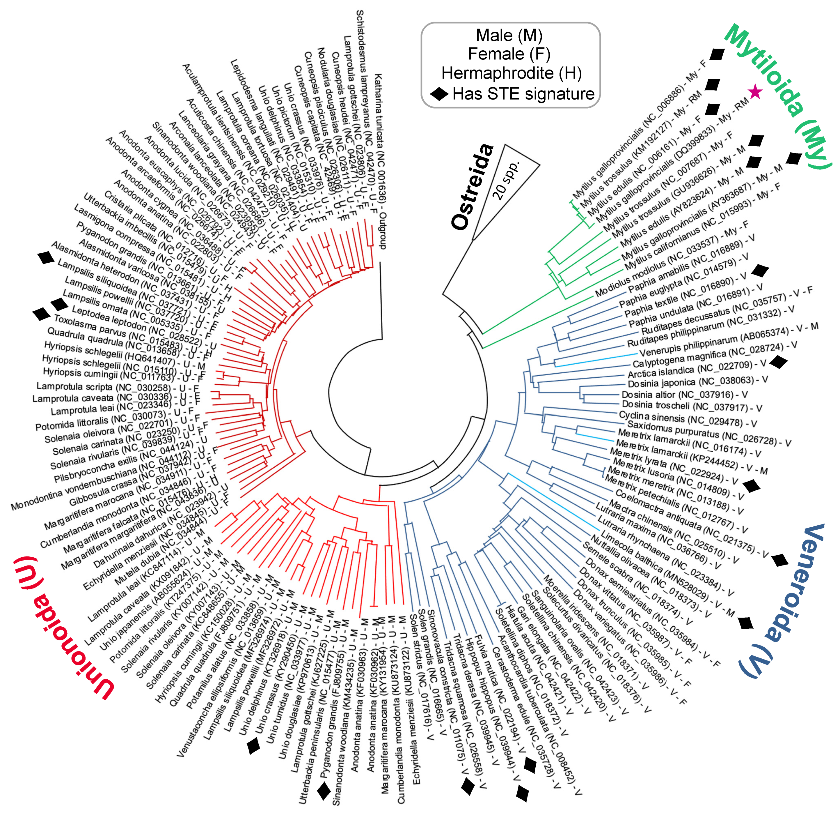 Genes 12 01211 g004 Genes 12 01211 g004
