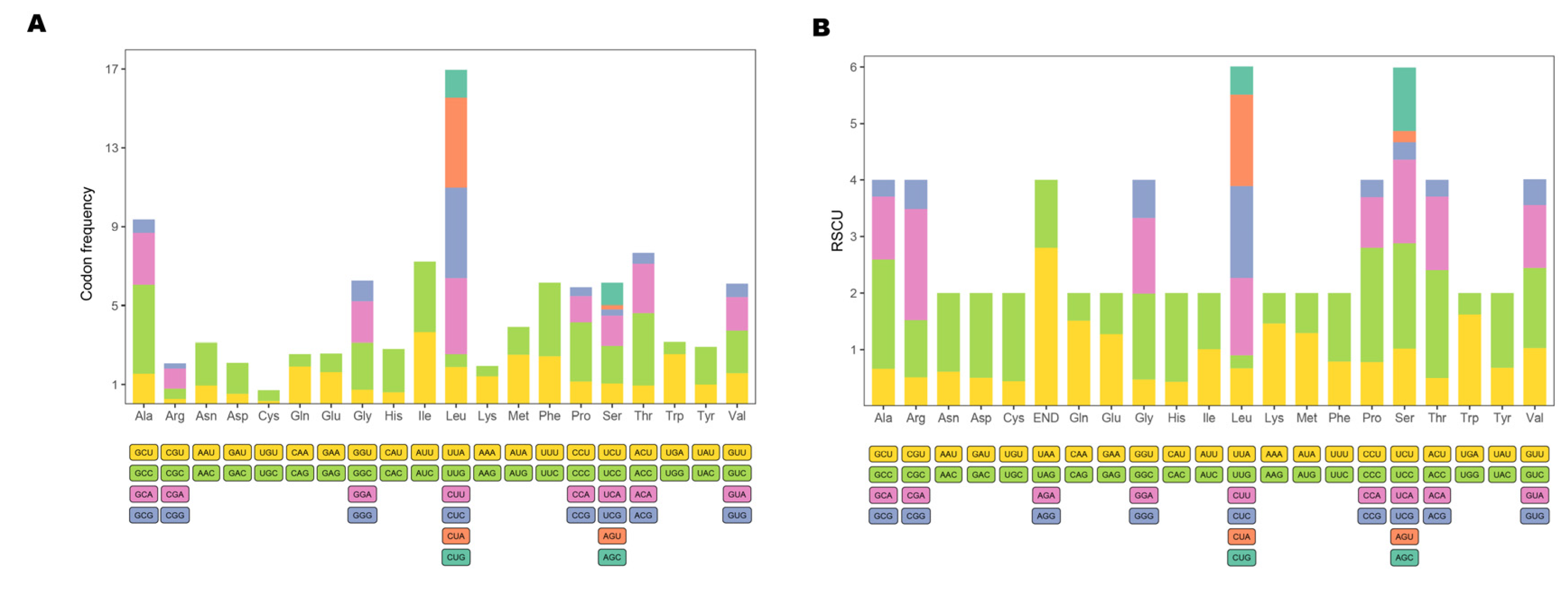 Genes 12 01234 g003